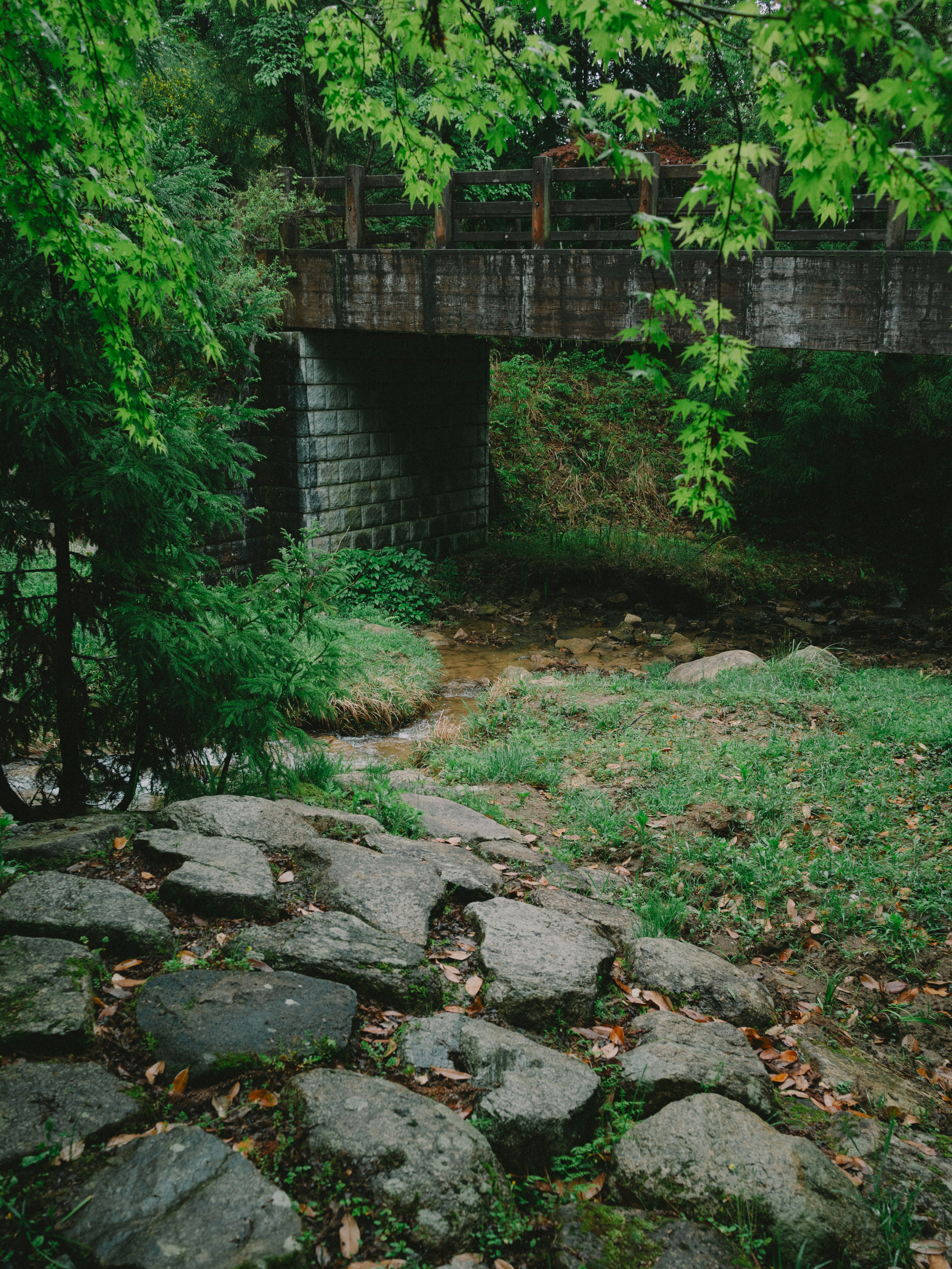 Scenic view featuring a stone pathway and a wooden bridge surrounded by greenery