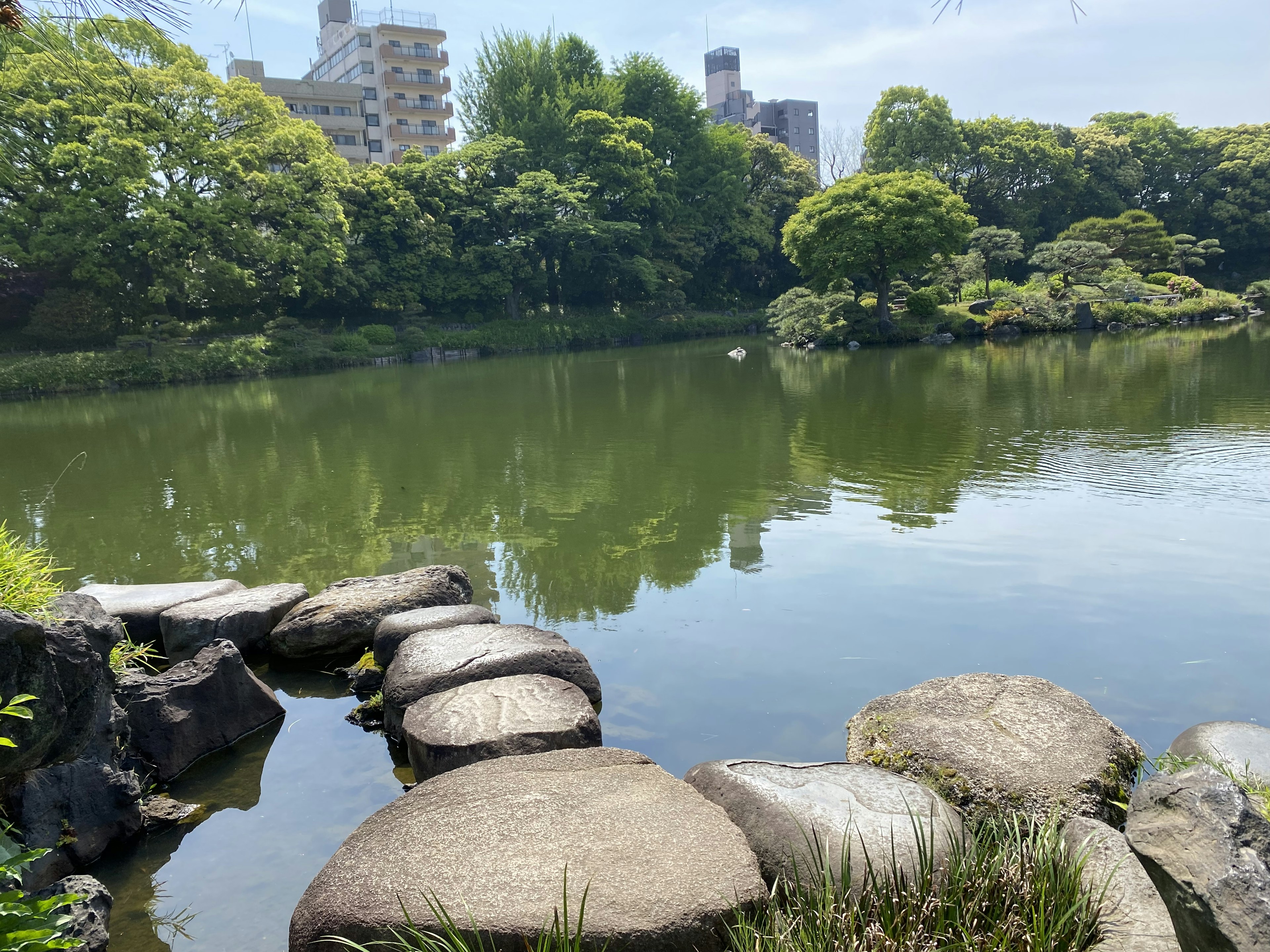 寧靜的公園場景，池塘和石頭小徑