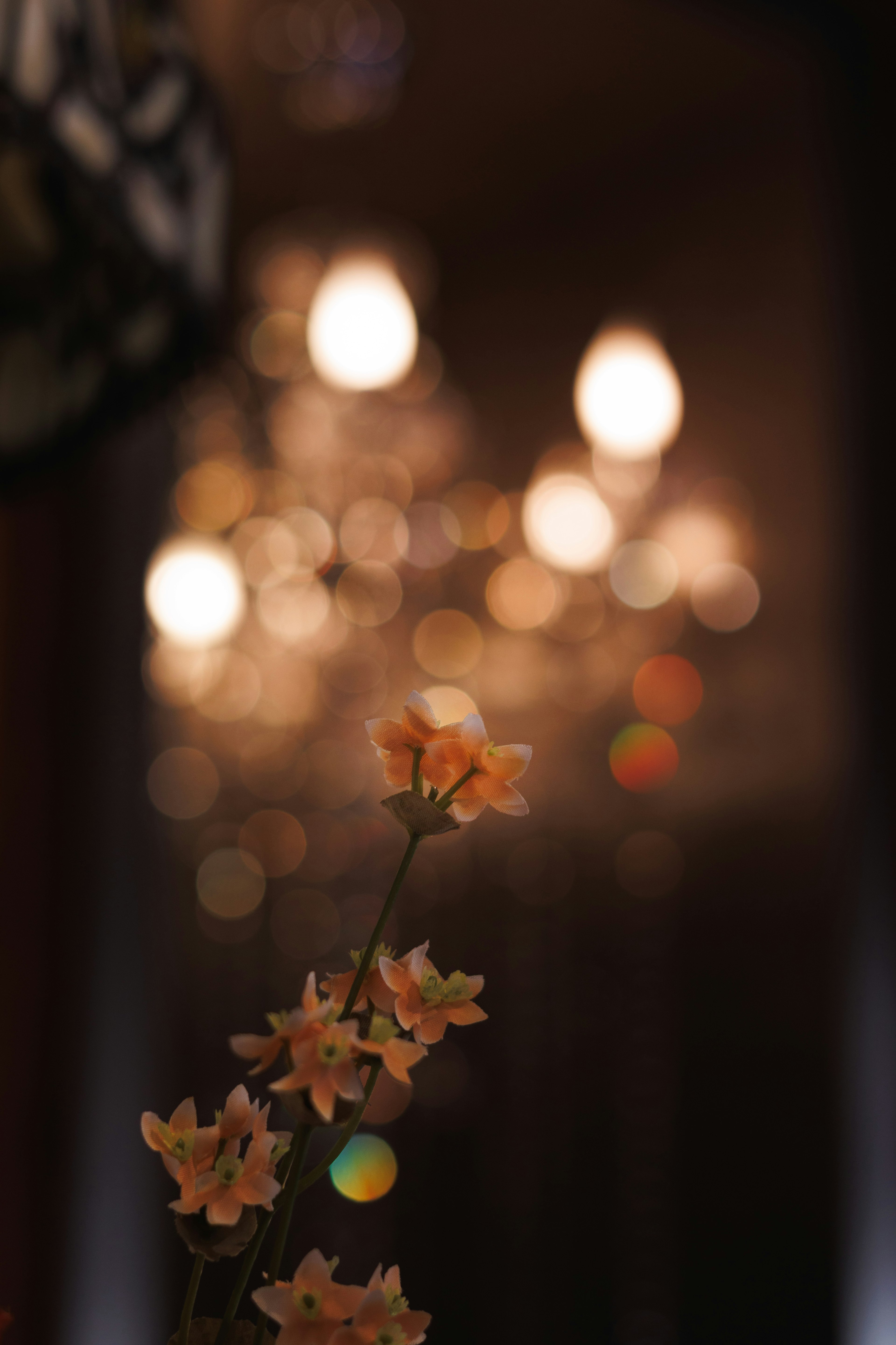 Orange Blumen im Vordergrund mit verschwommenem Kronleuchter im Hintergrund