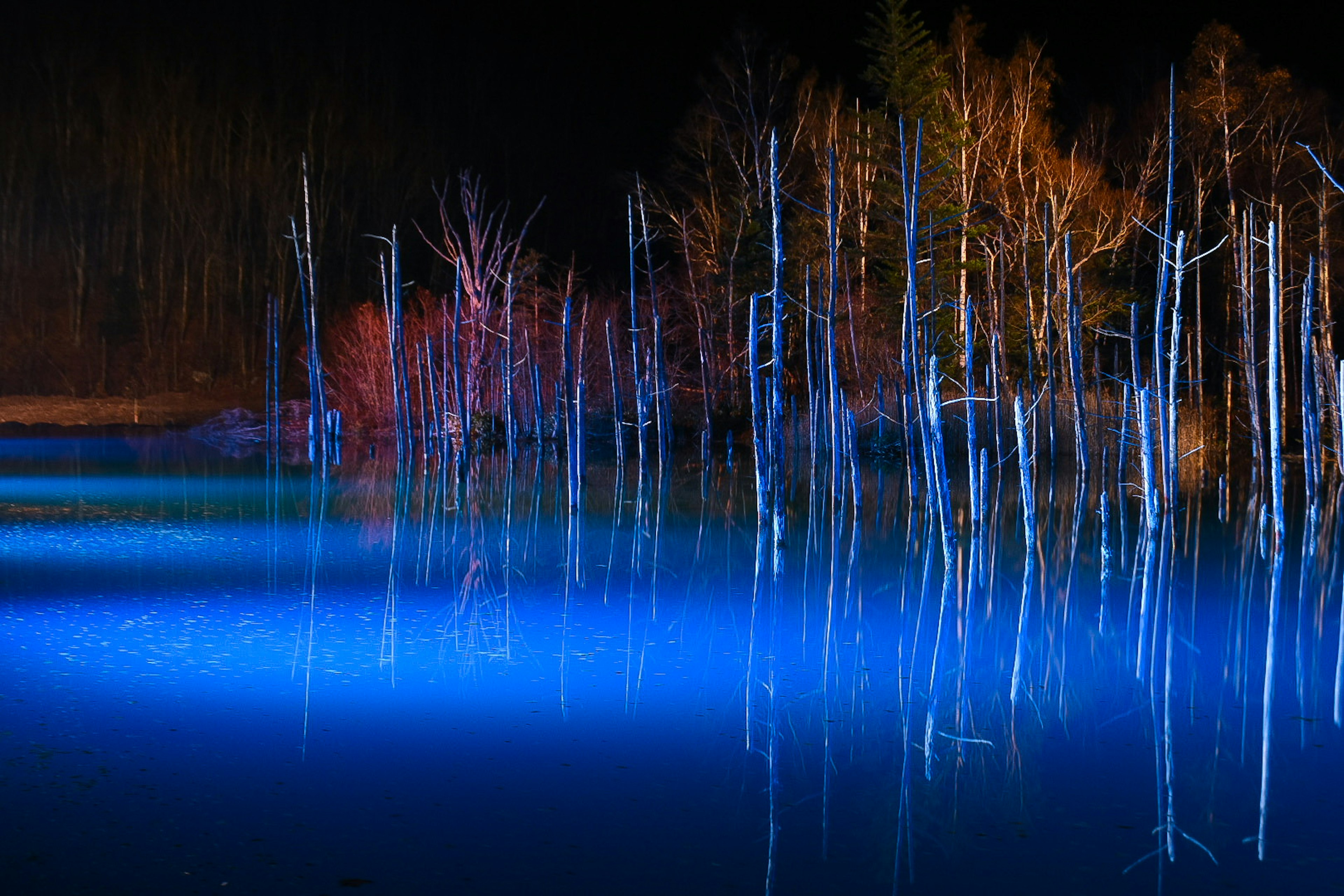 Pohon putih yang dipantulkan di air biru di malam hari