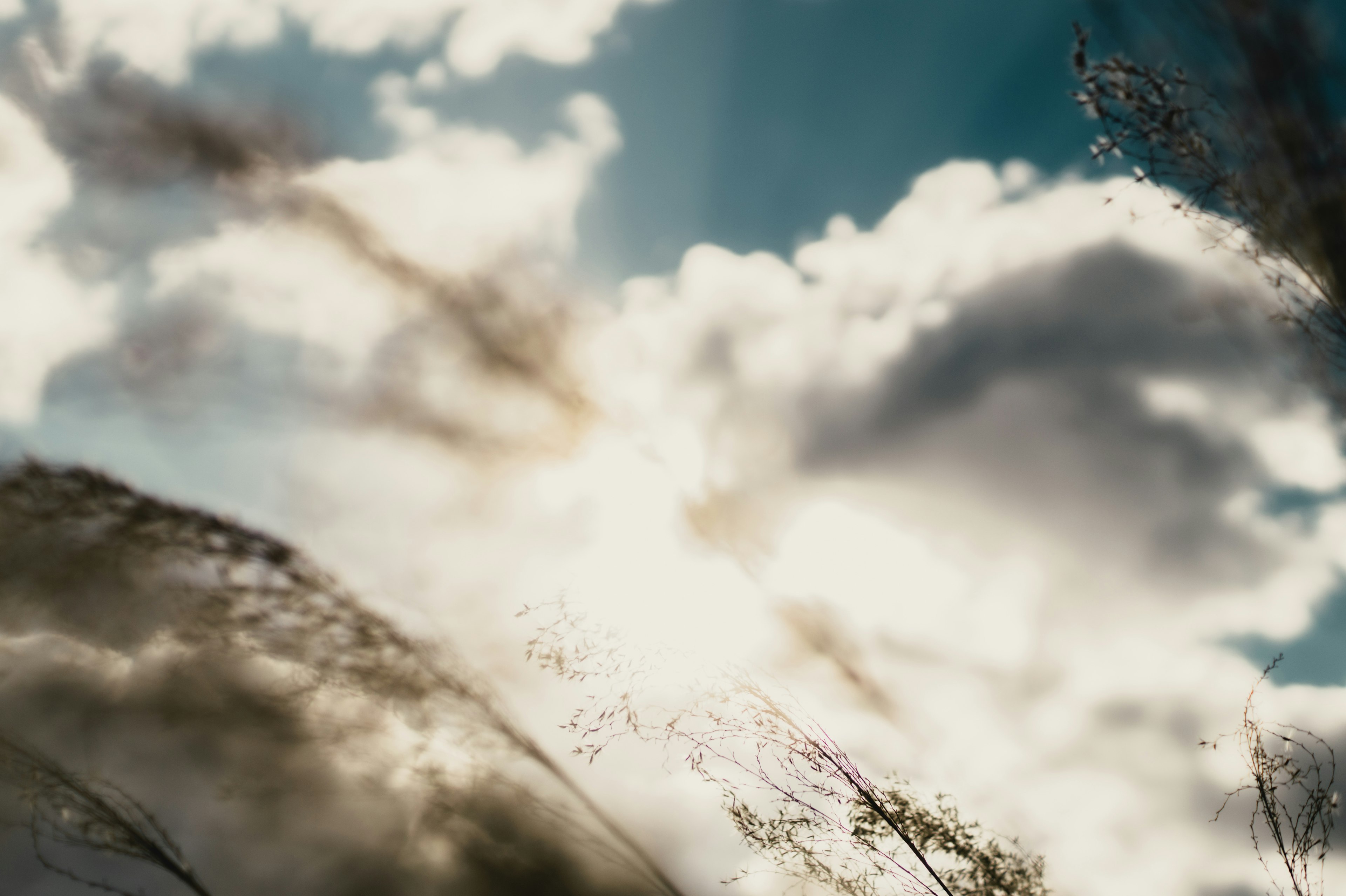 Natural scene with white clouds and sunlight under a blue sky