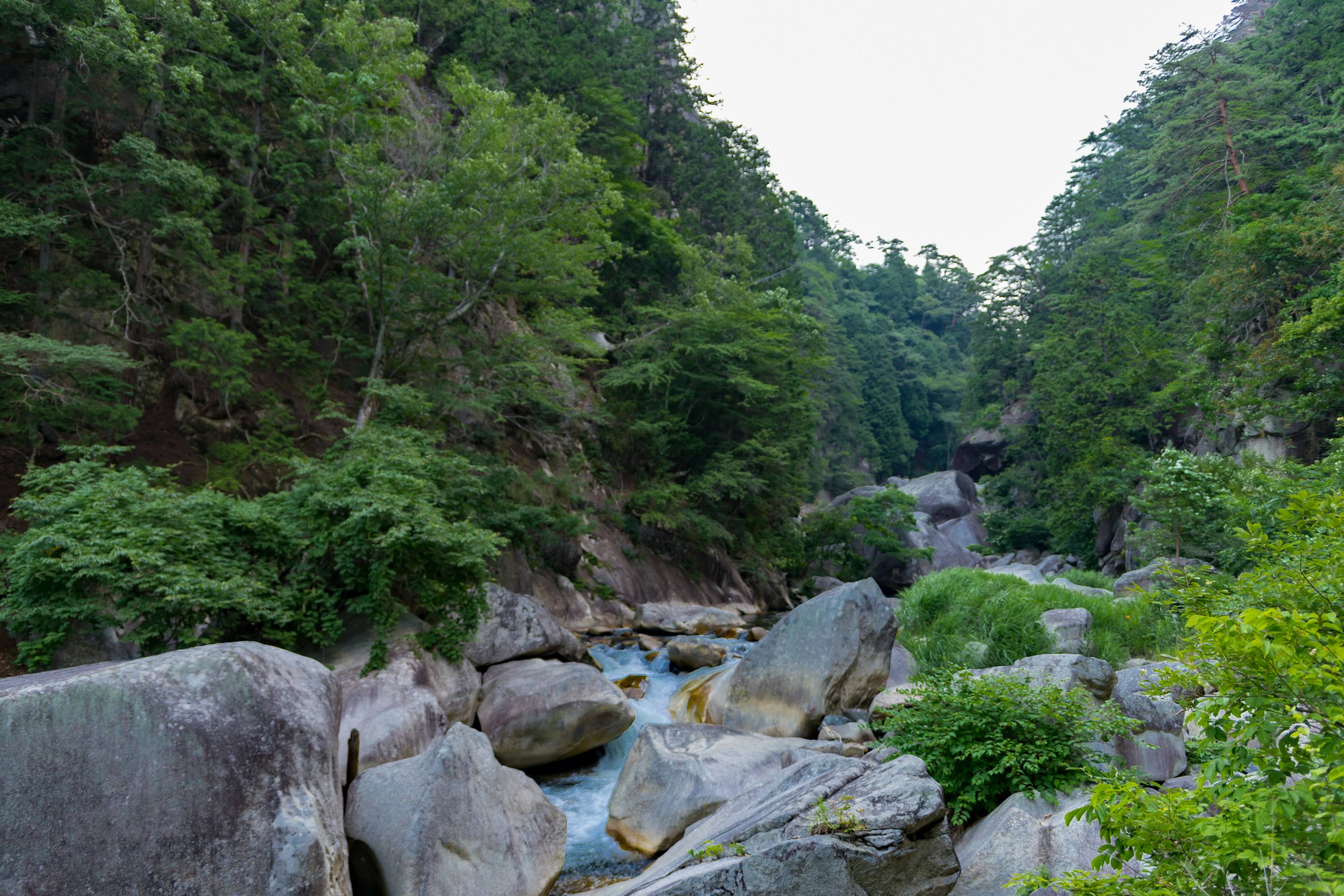 Valle panoramica circondata da una foresta lussureggiante e grandi rocce