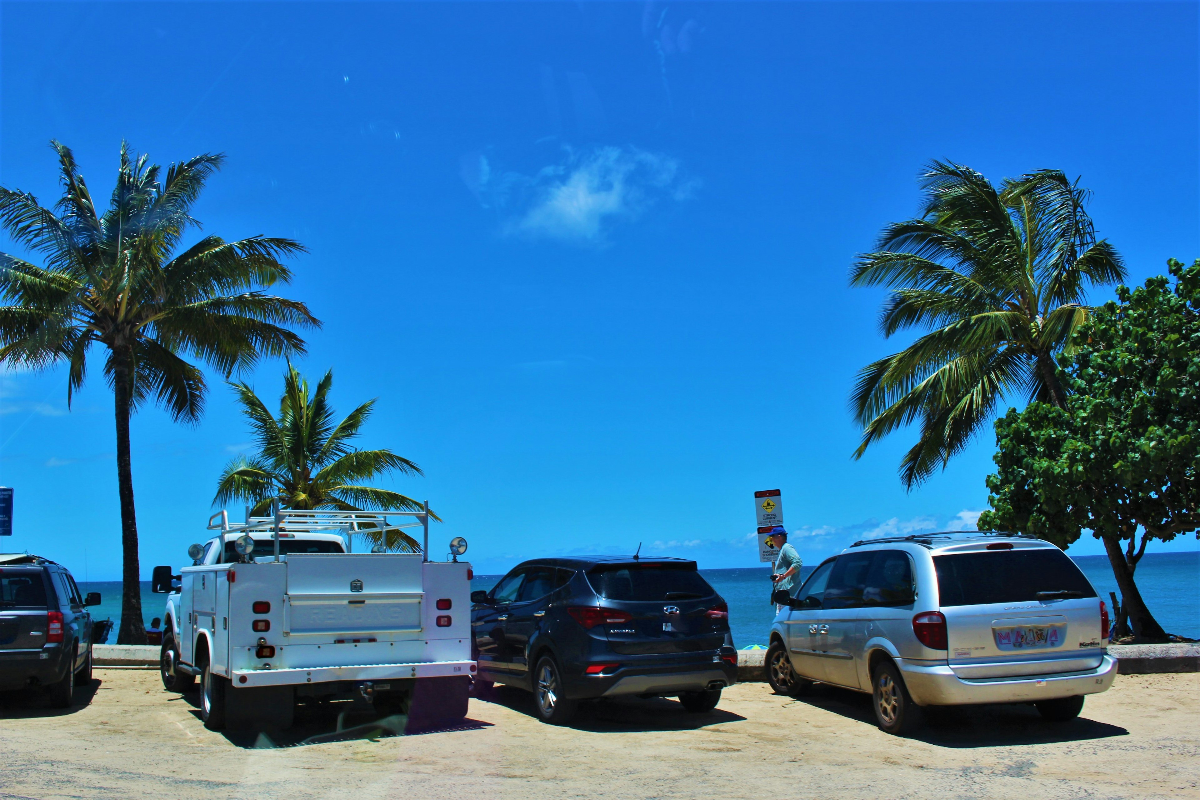 Auto parcheggiate sotto palme con cielo azzurro