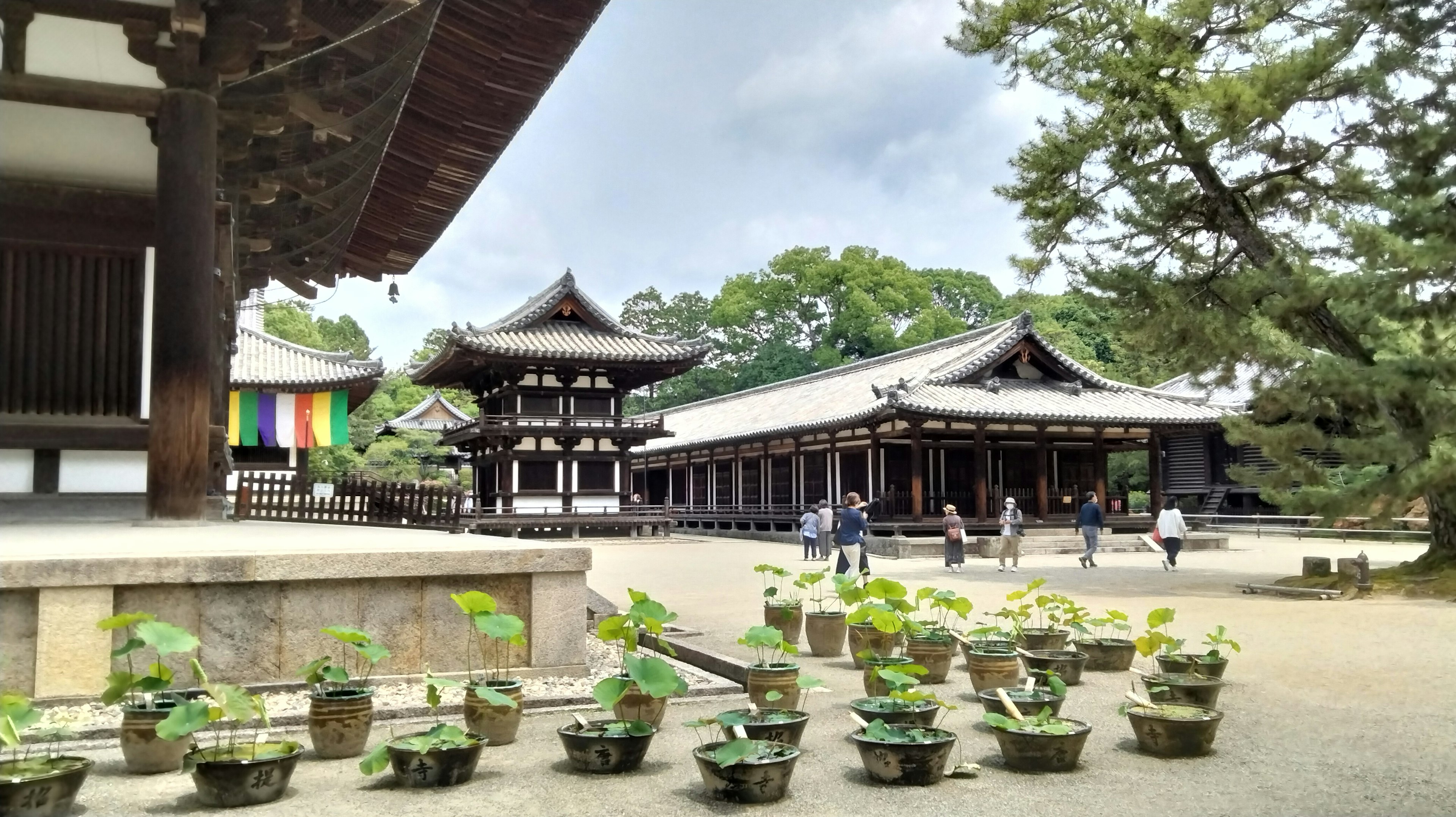 Paysage de temple japonais traditionnel avec des plantes en pot dans le jardin