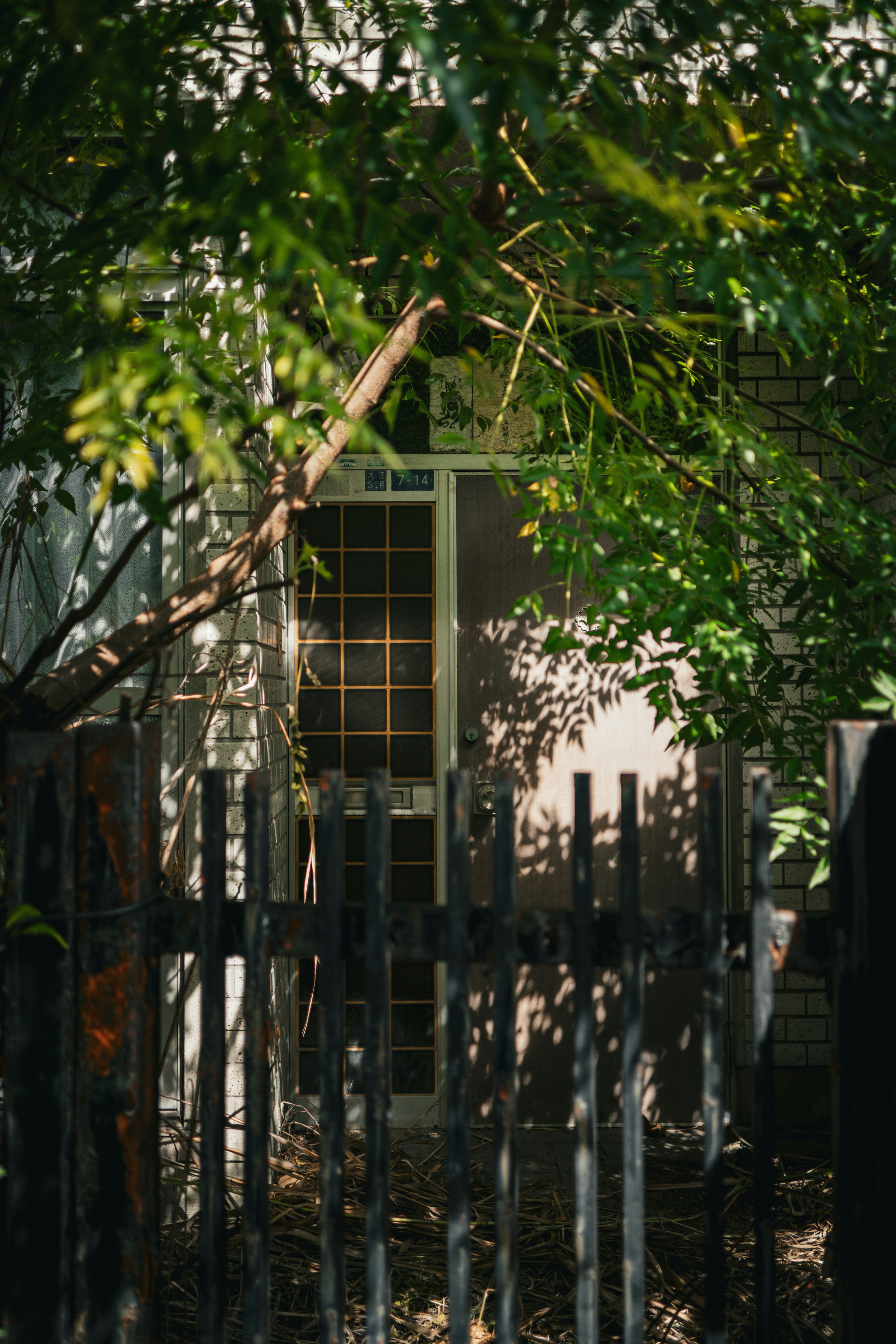 Puerta de una casa antigua enmarcada por árboles verdes y una cerca de madera