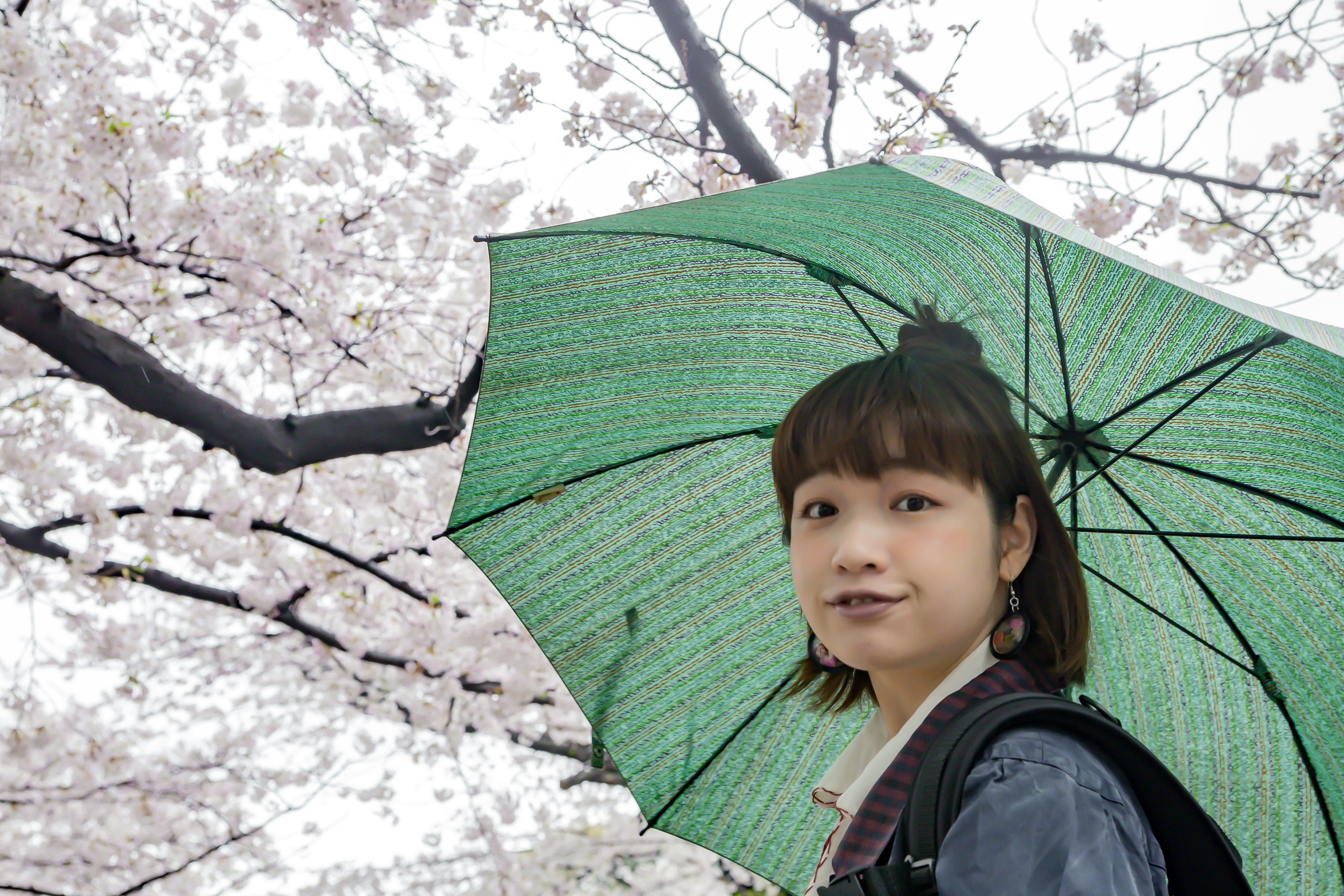 Mädchen mit einem grünen Regenschirm unter Kirschblütenbäumen