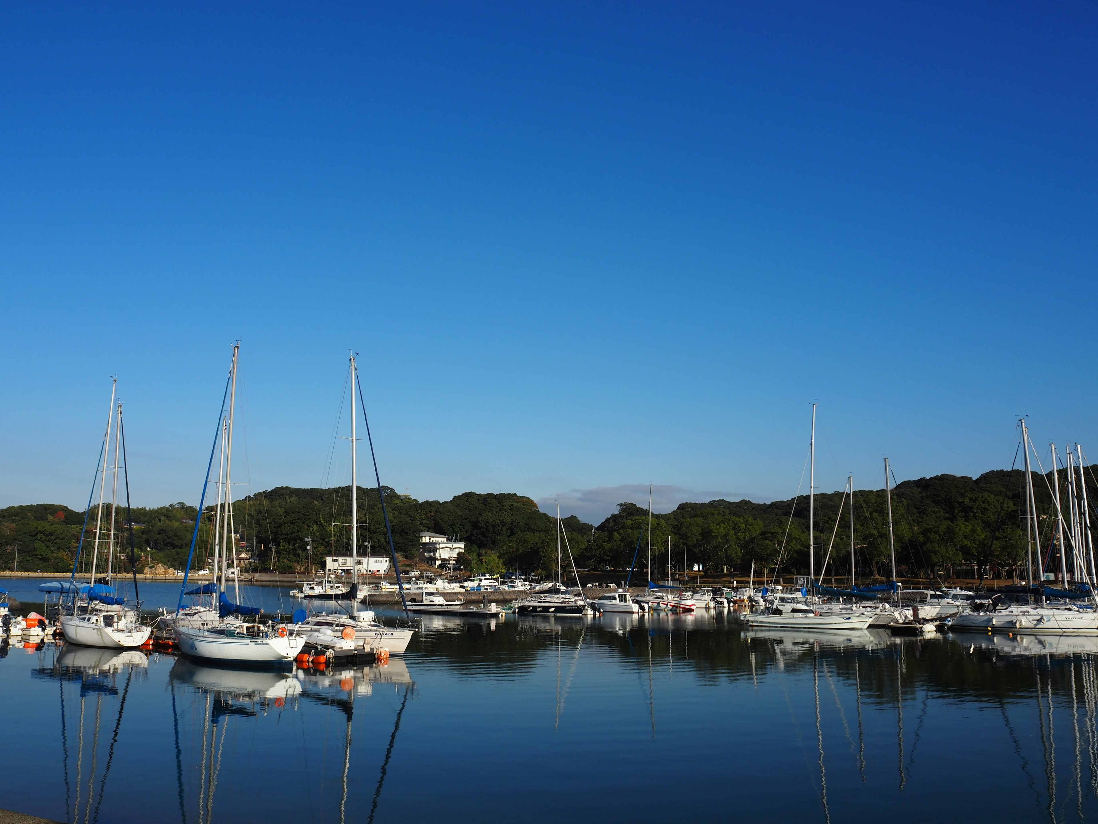 A serene harbor scene with sailboats and yachts under a clear blue sky