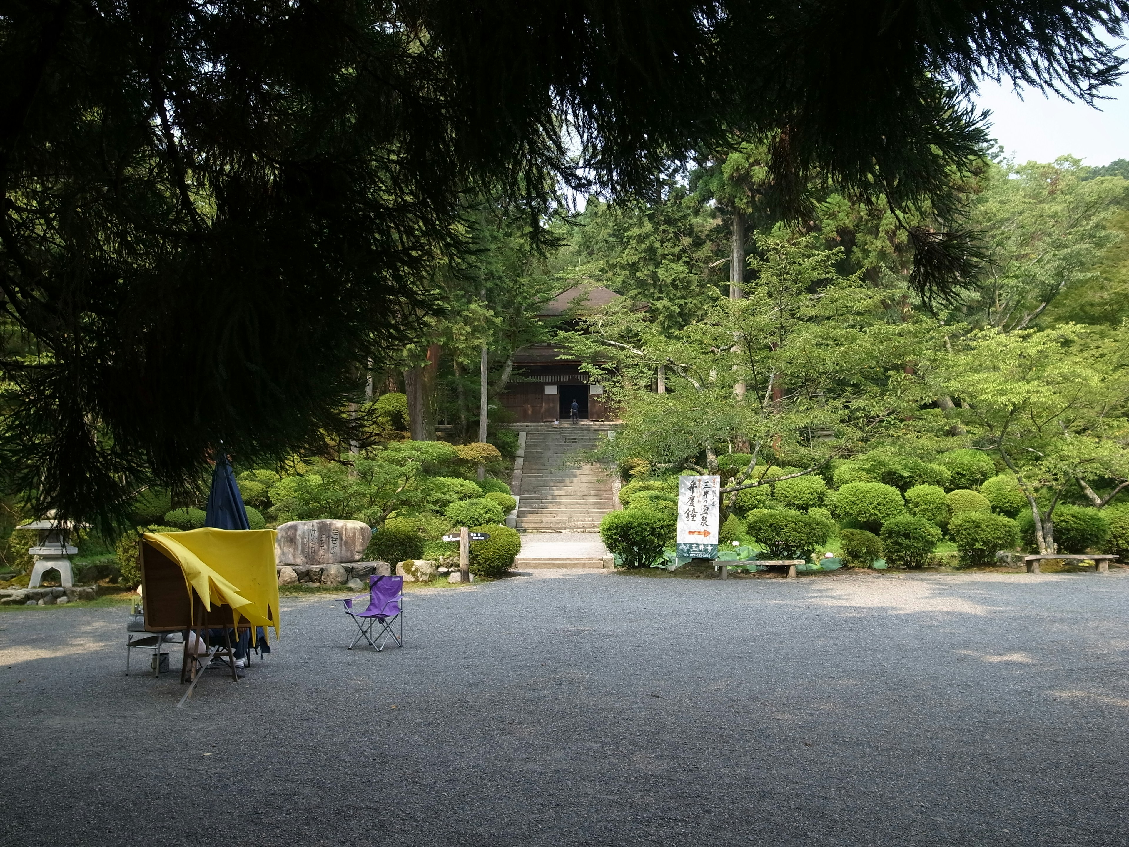 Vista serena del jardín con un camino y vegetación exuberante niño jugando