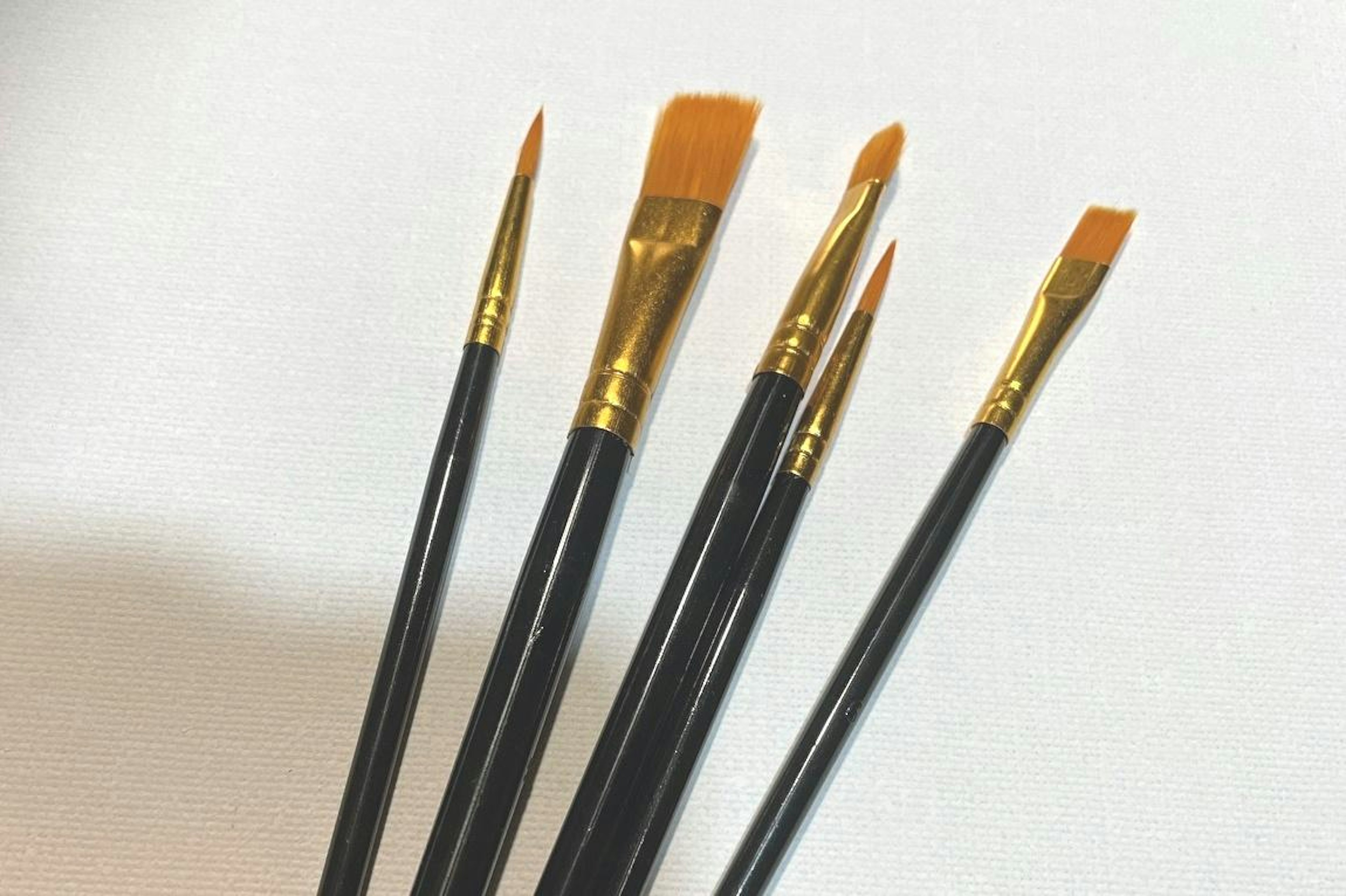 Five different paintbrushes arranged in a row