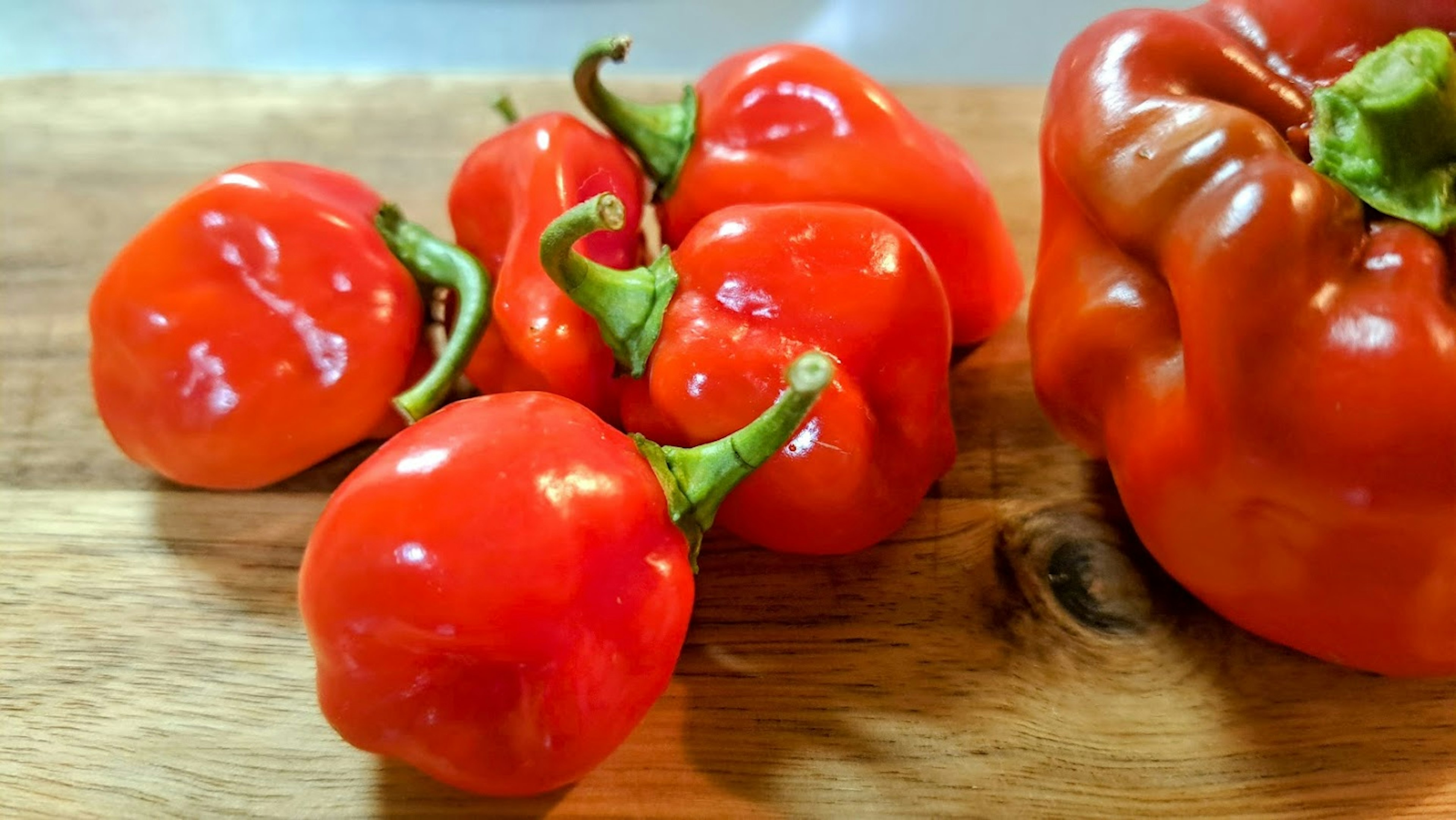 Rote Paprika und kleine rote Chilischoten auf einem Holzbrett