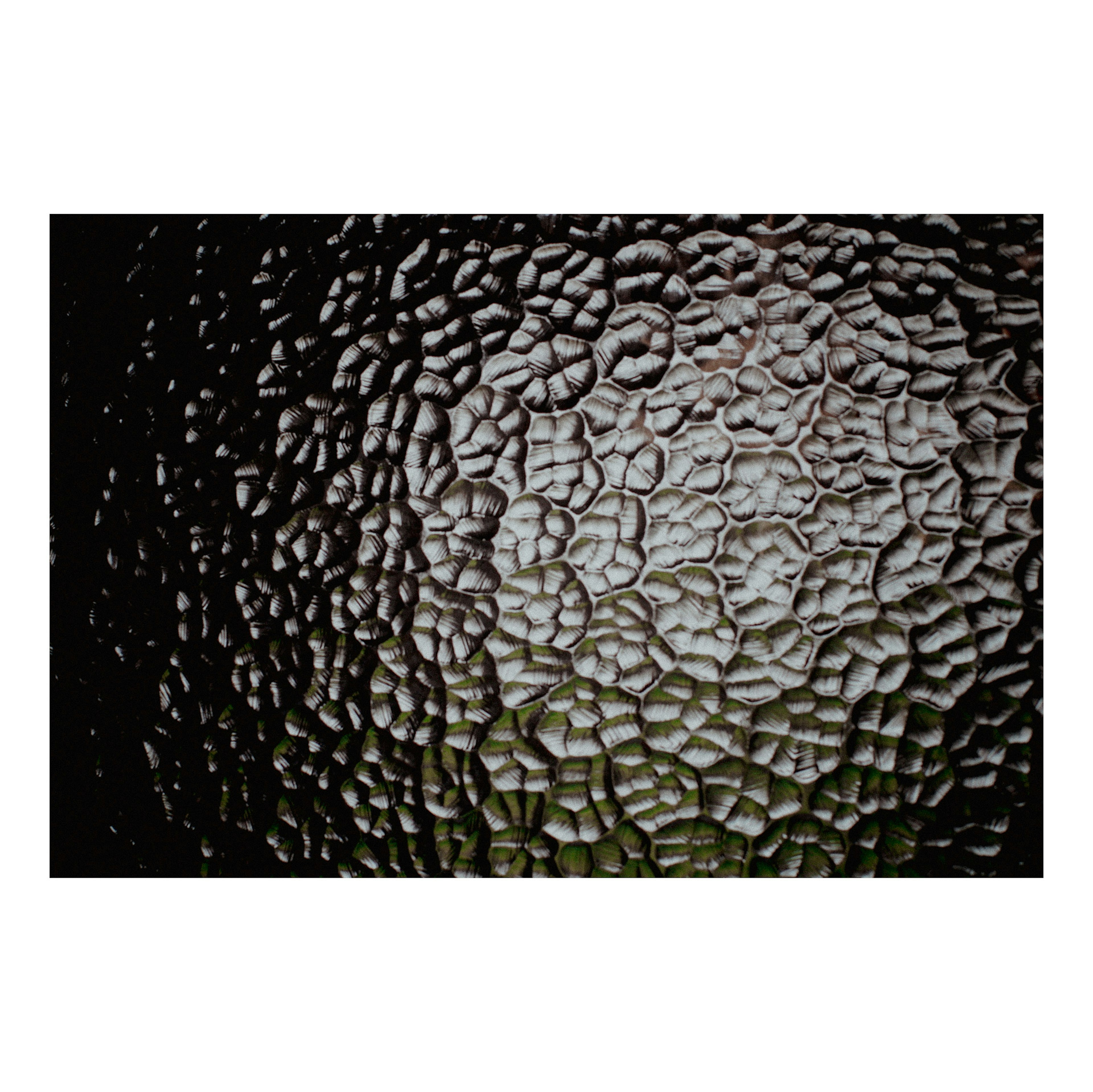 photo-l5fhh9UYPme87VgdLpFa-image