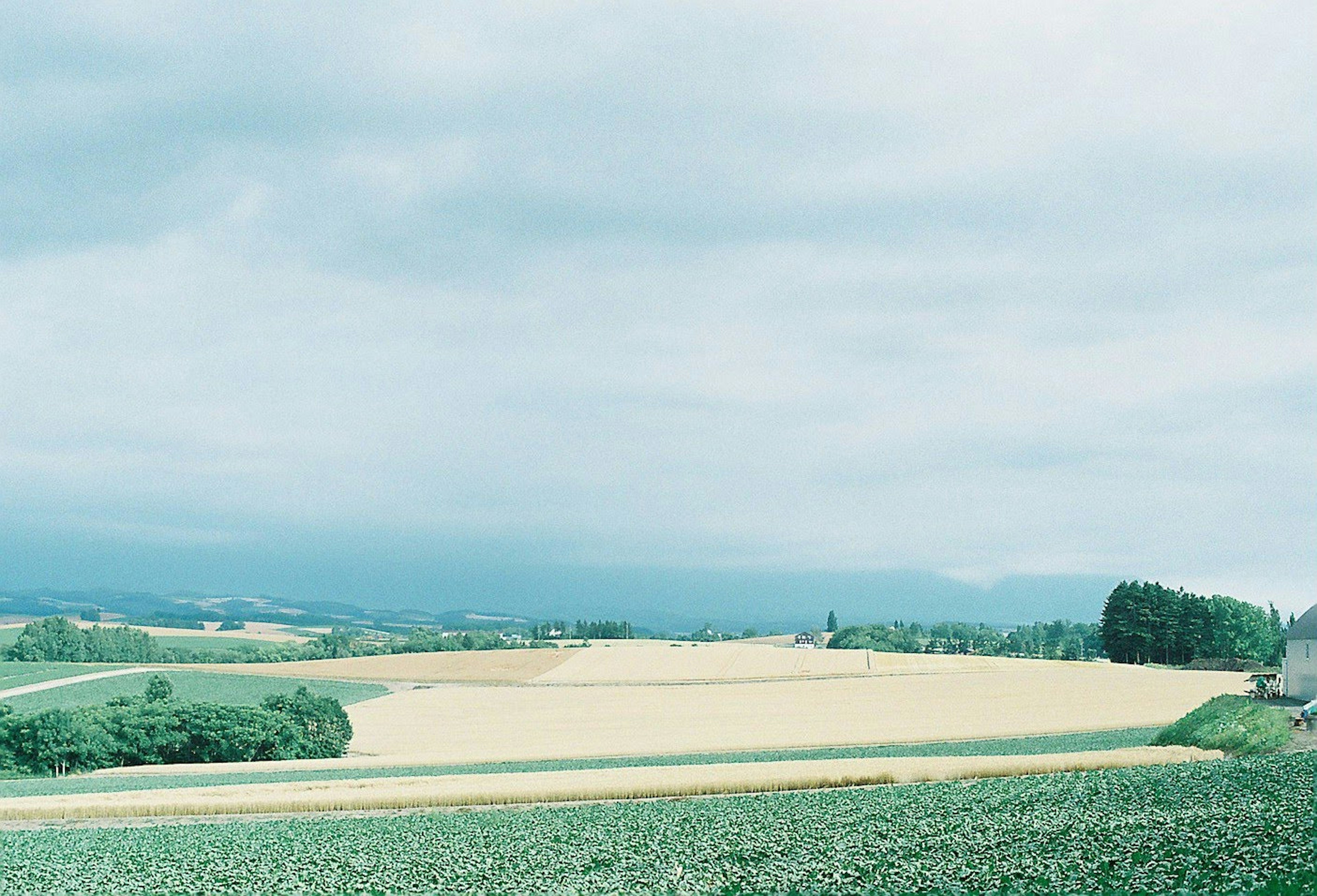 Terre agricole vaste sous un ciel nuageux doux