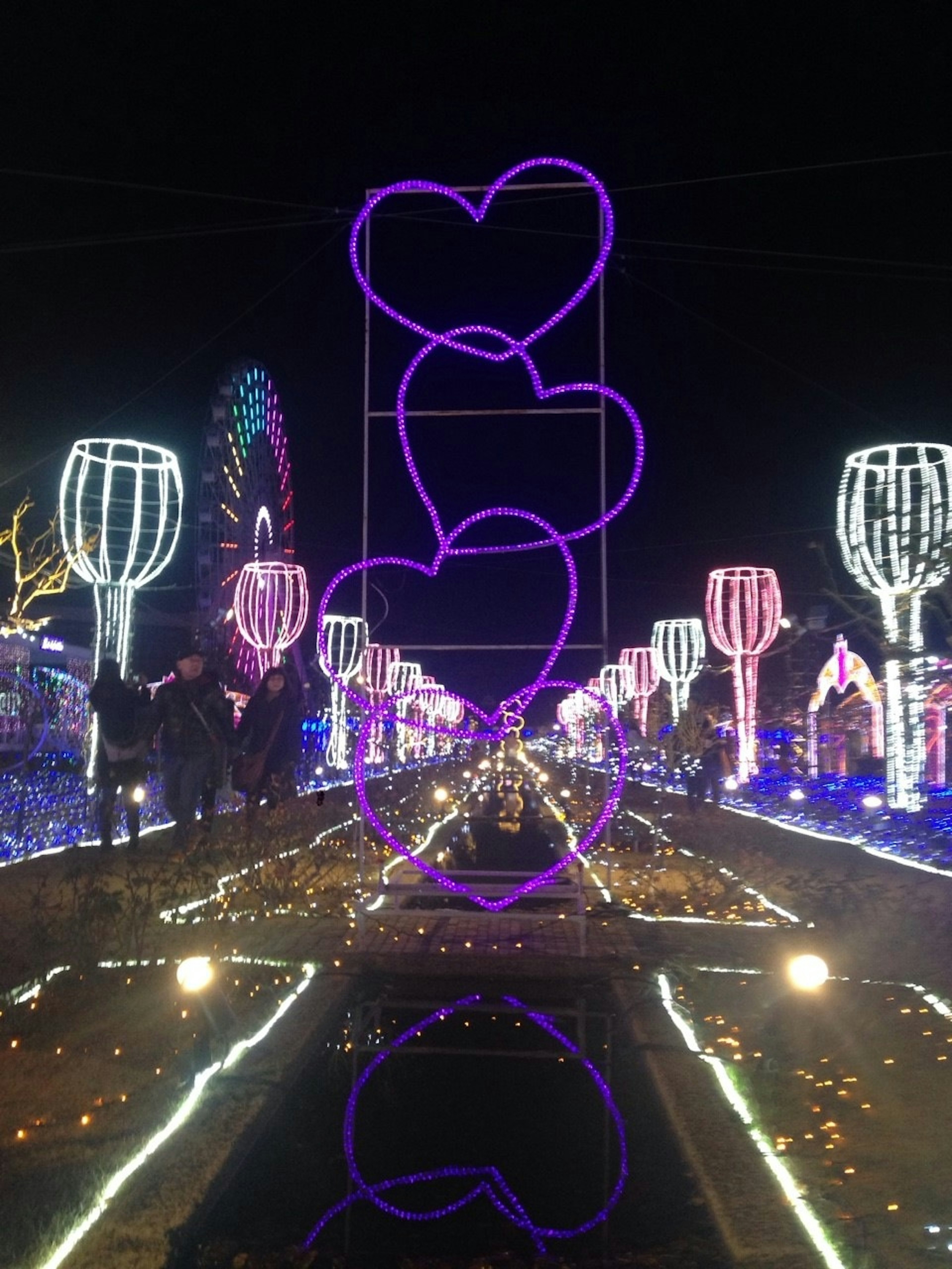 Vue nocturne avec des lumières en forme de cœur et une grande roue