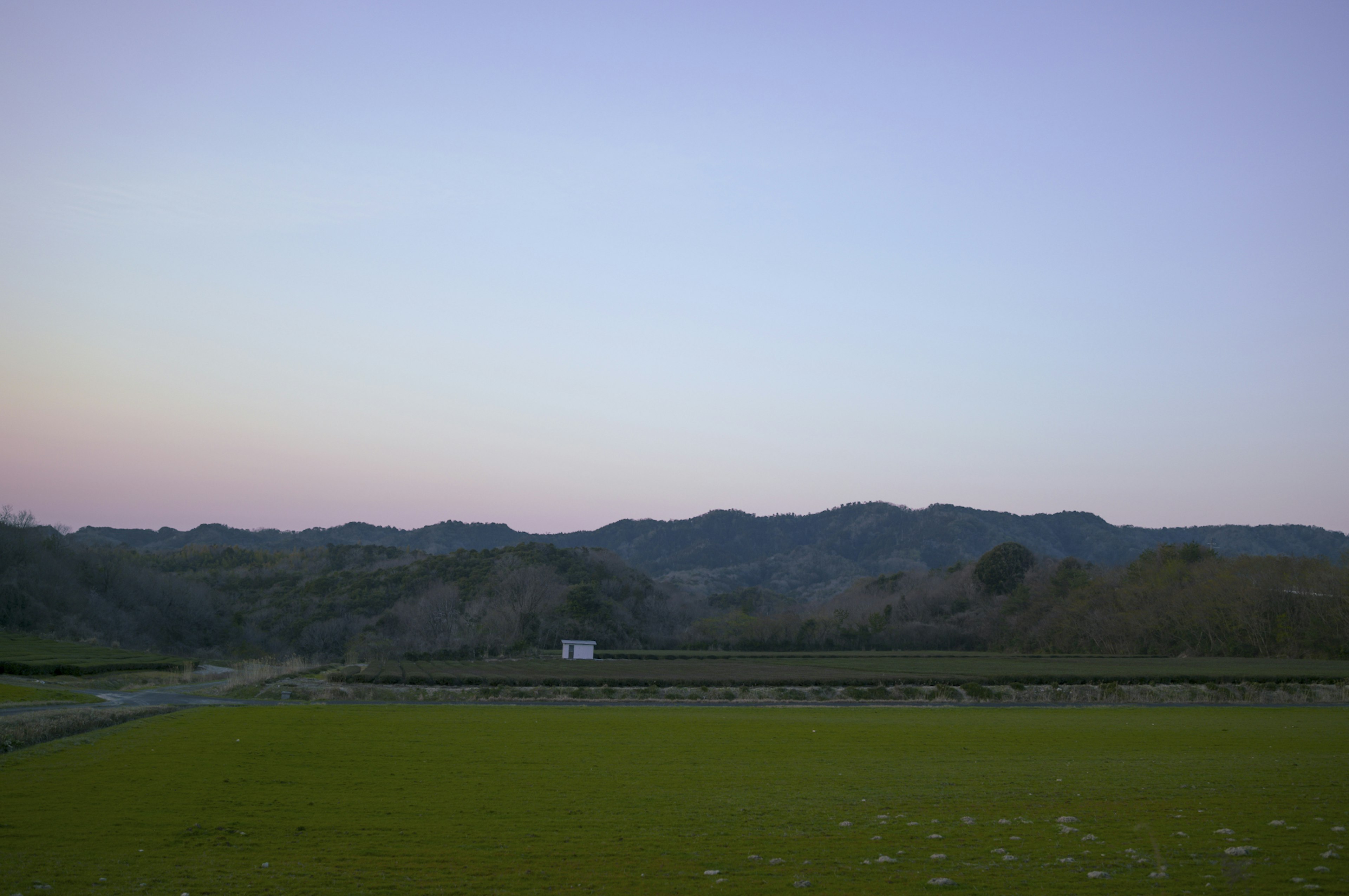 Paisaje con cielo de atardecer y campo de arroz verde