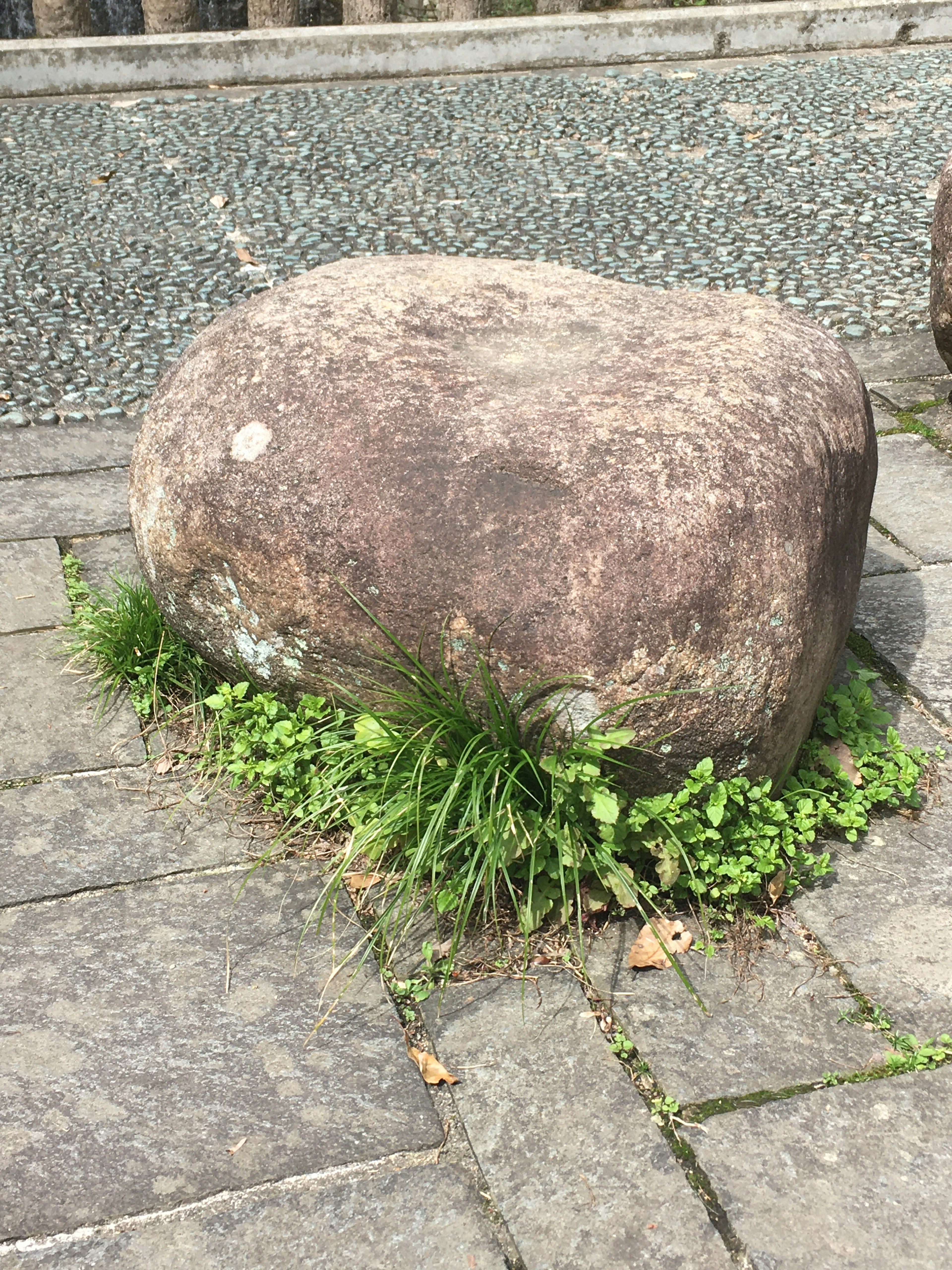 A large stone surrounded by green grass