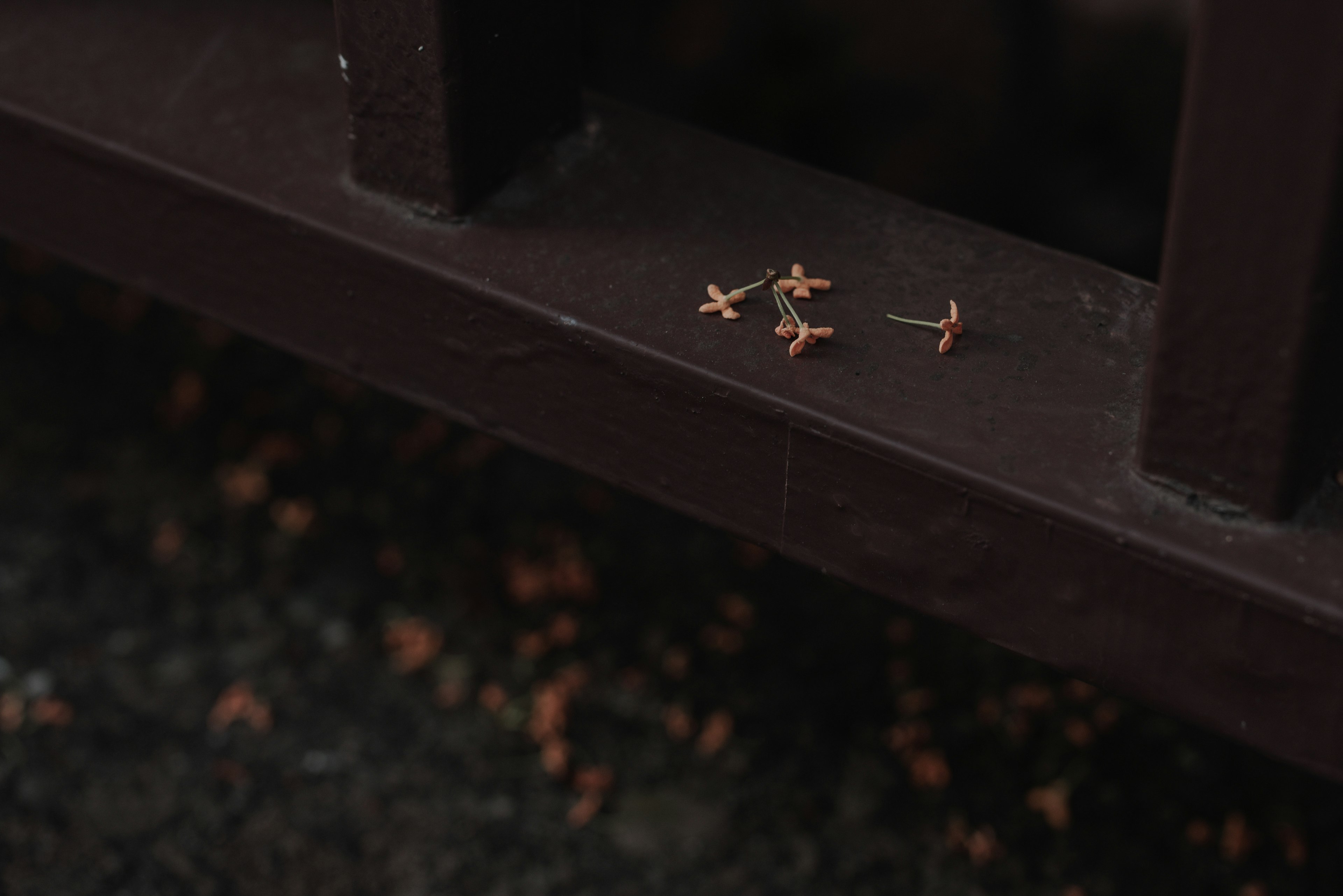 Serpihan kayu kecil yang tersebar di atas pagar coklat dengan daun-daun yang jatuh di sekitarnya