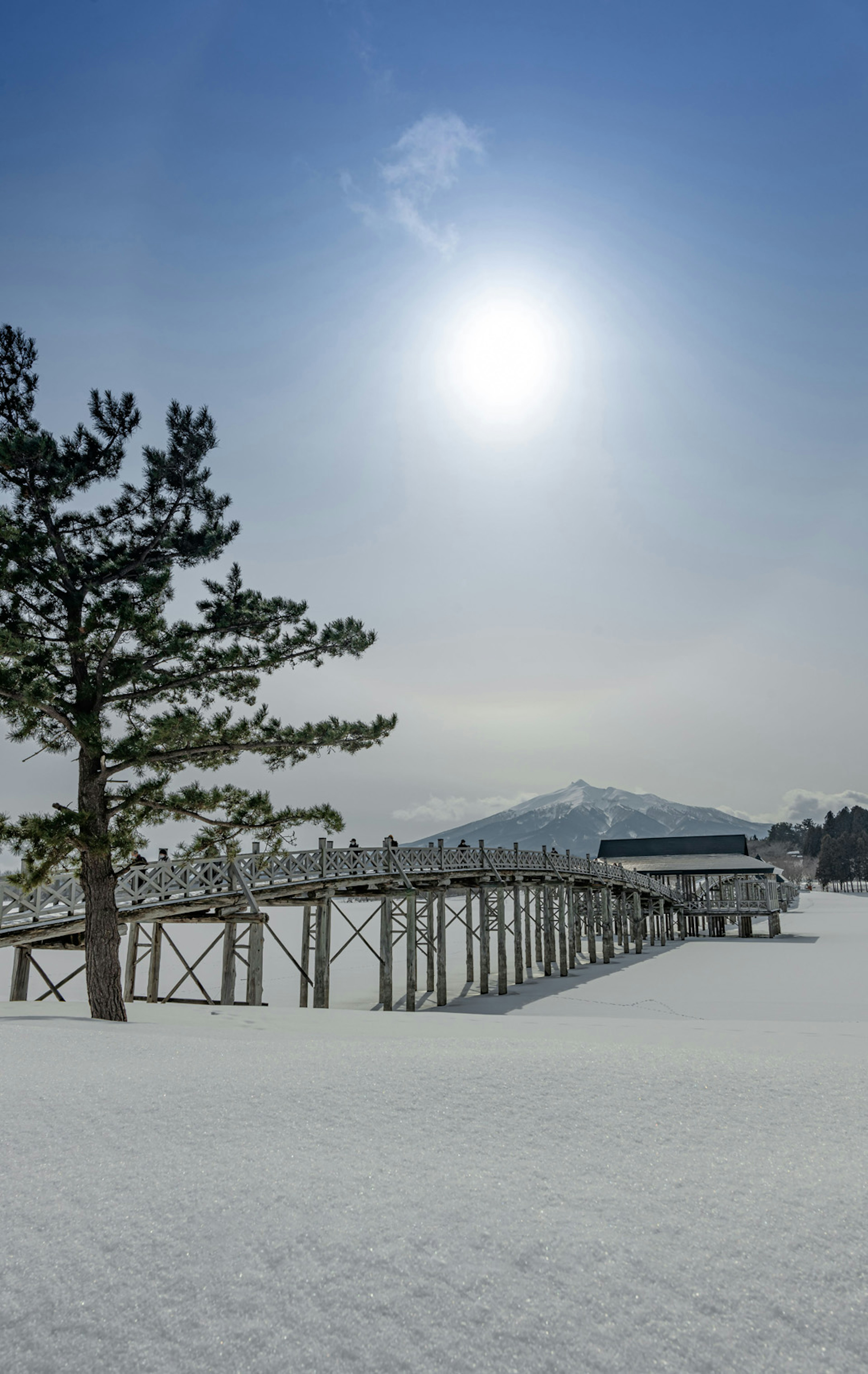 雪に覆われた風景に浮かぶ橋と松の木、青空と太陽が輝く