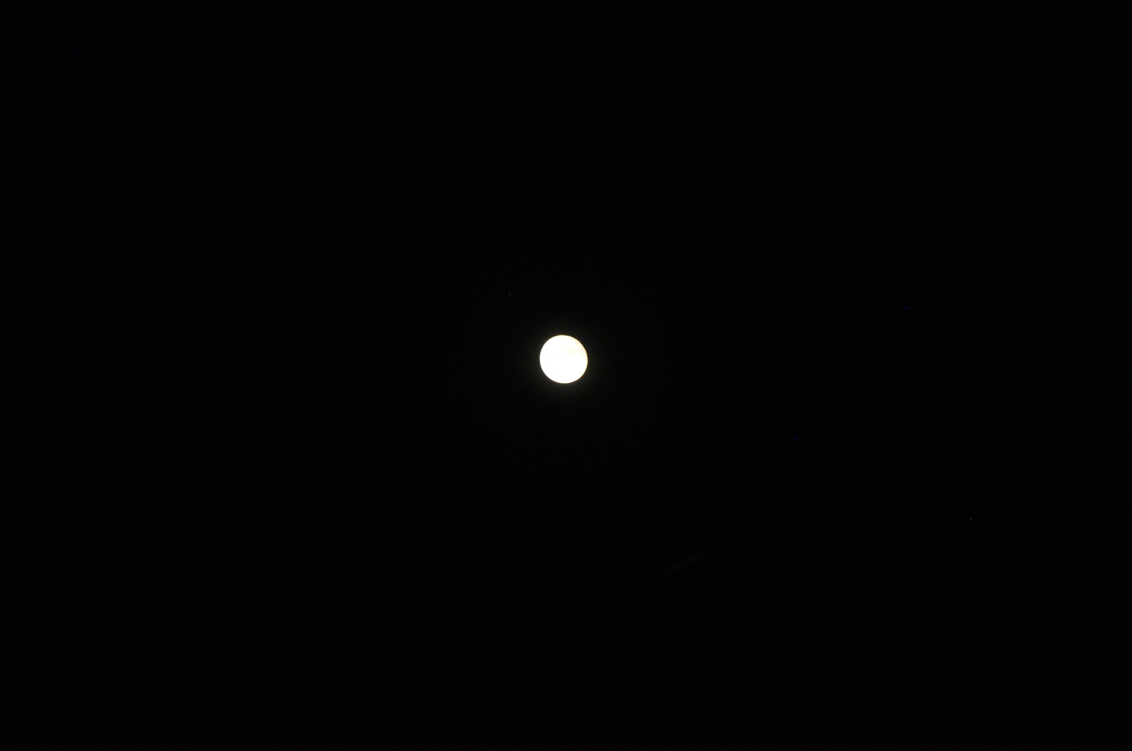 Bulan terang mengapung di langit malam