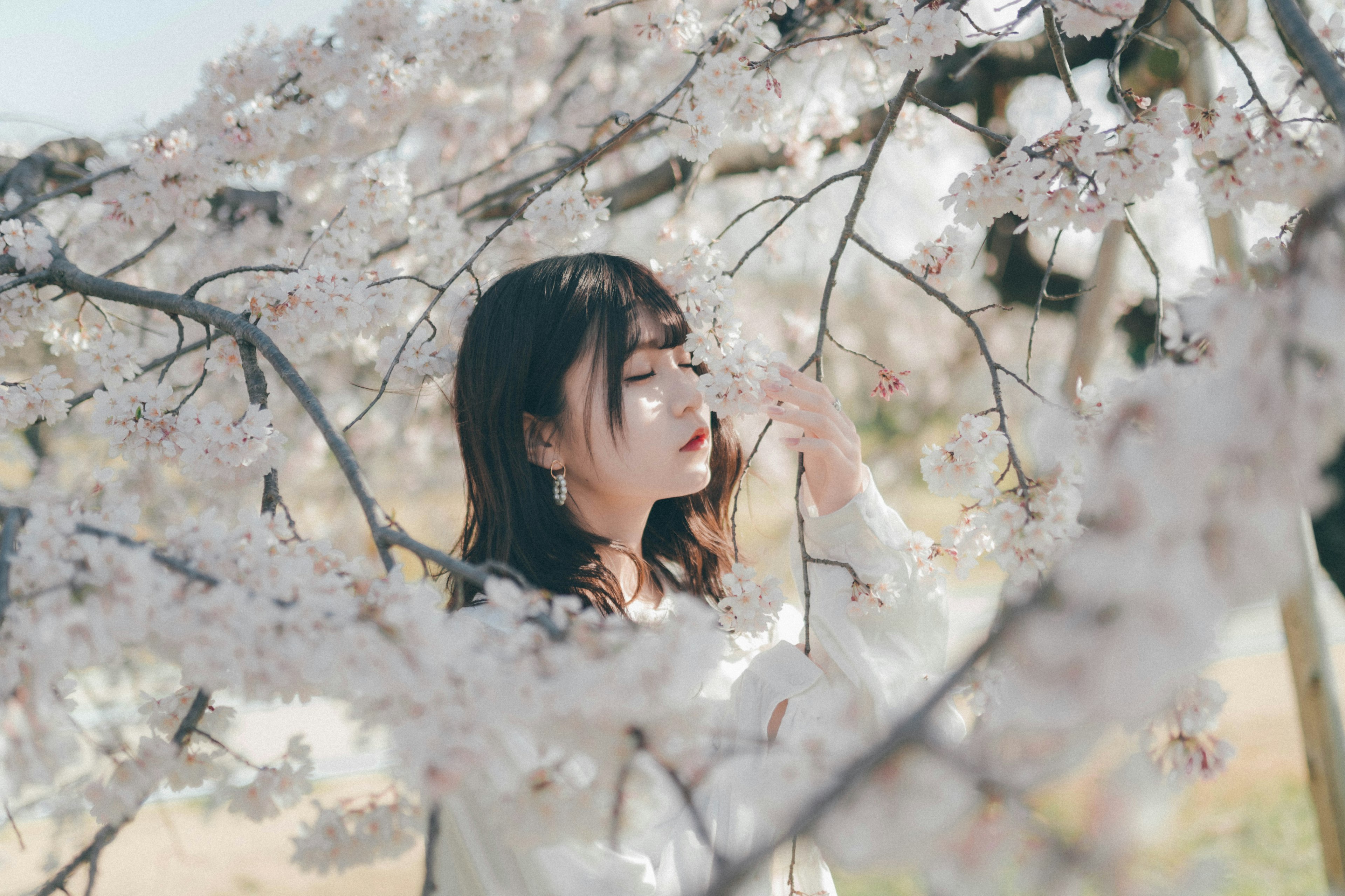 桜の花の中で微笑む女性のポートレート