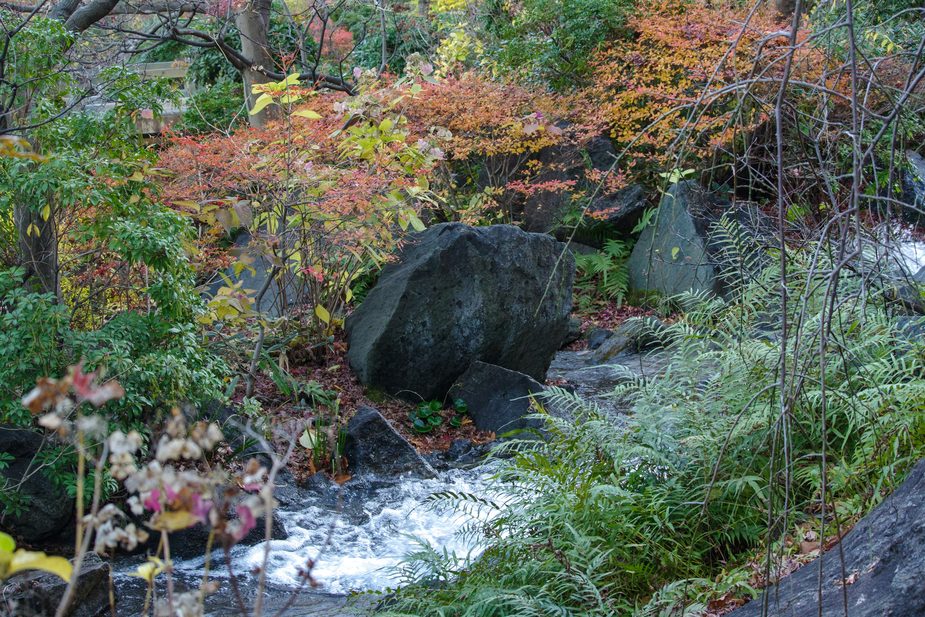 Malersicher Blick auf einen Bach, umgeben von buntem Herbstlaub