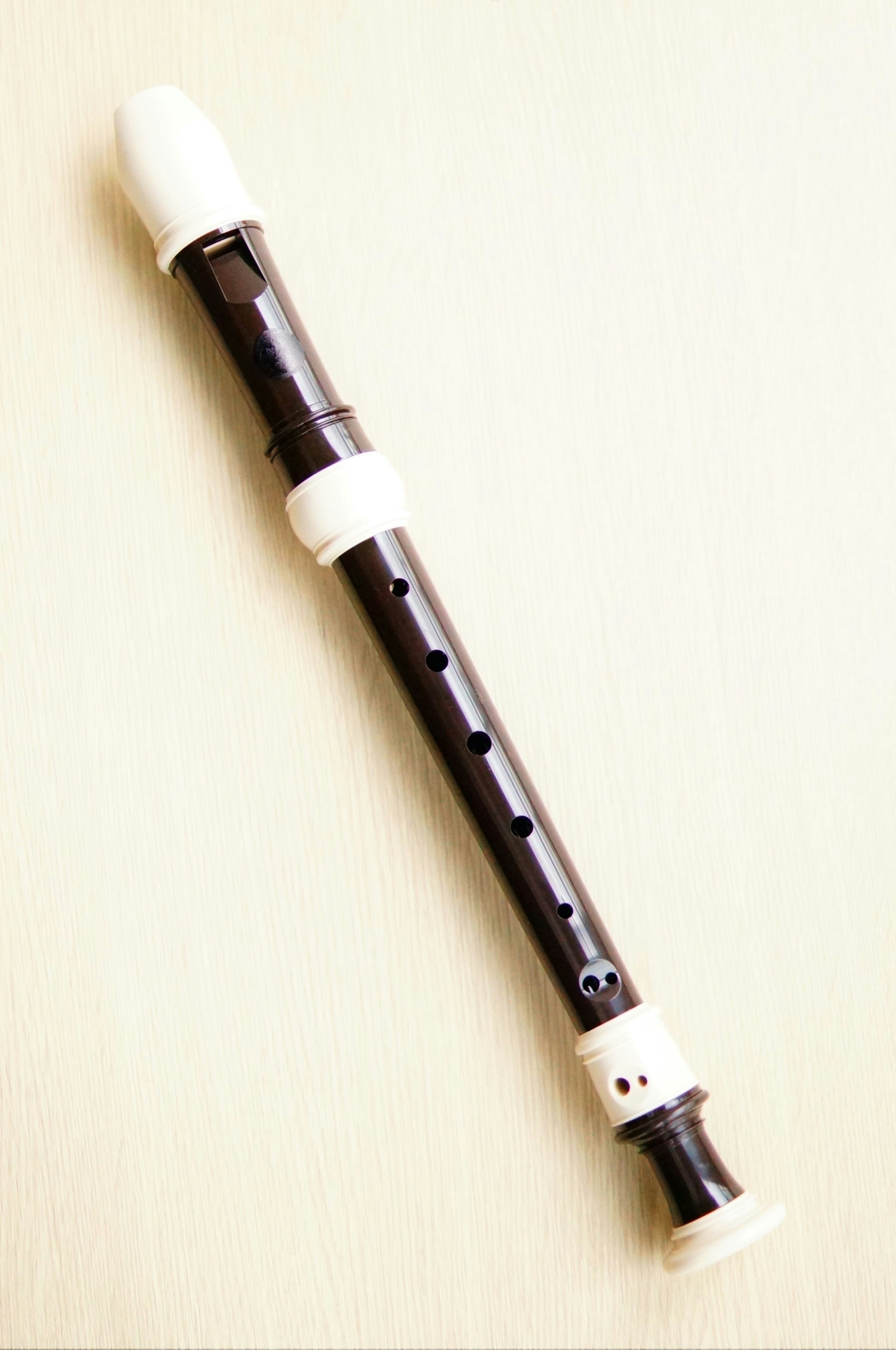 A black recorder with white components showcasing its design