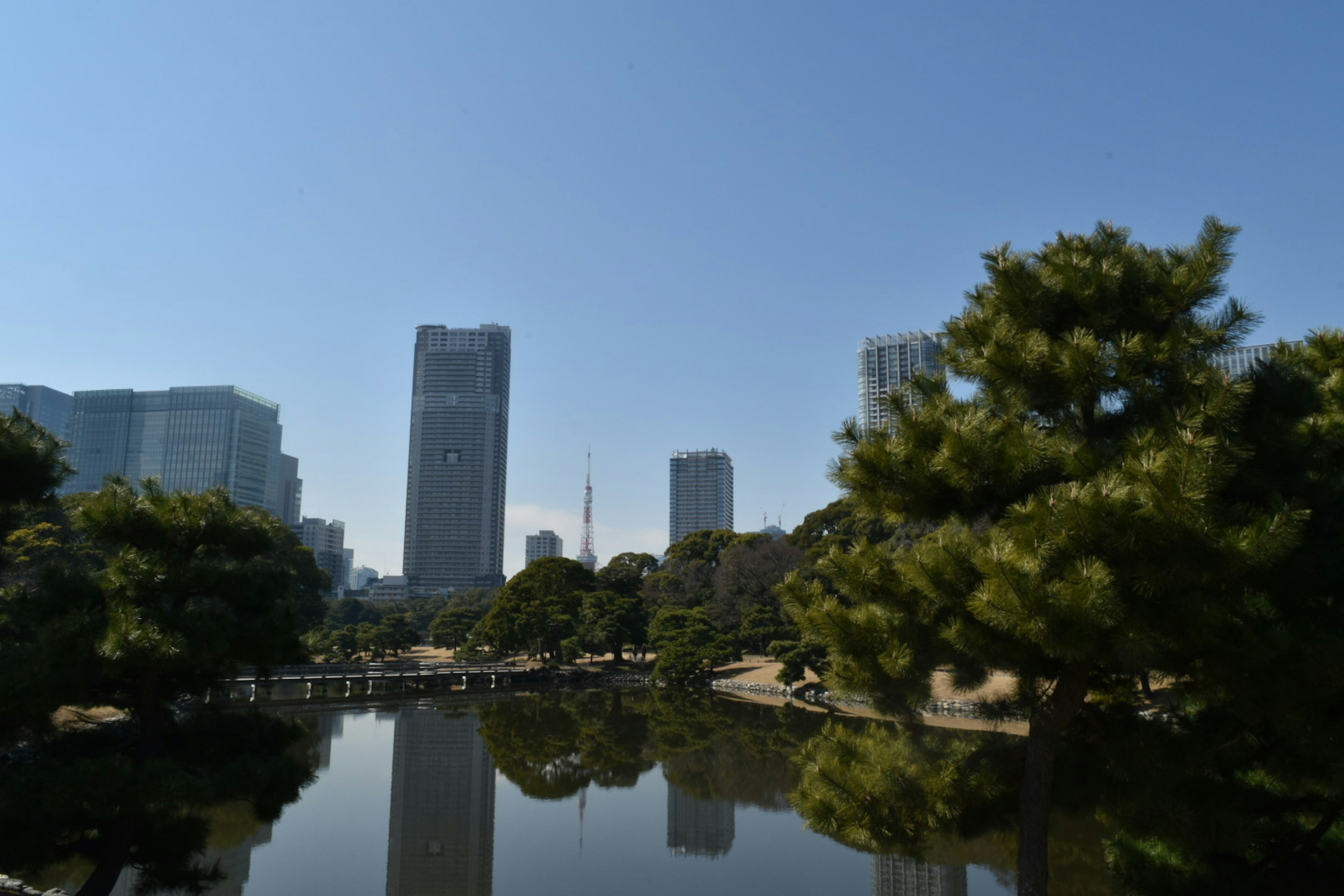 城市公園景觀，包含池塘和摩天大樓