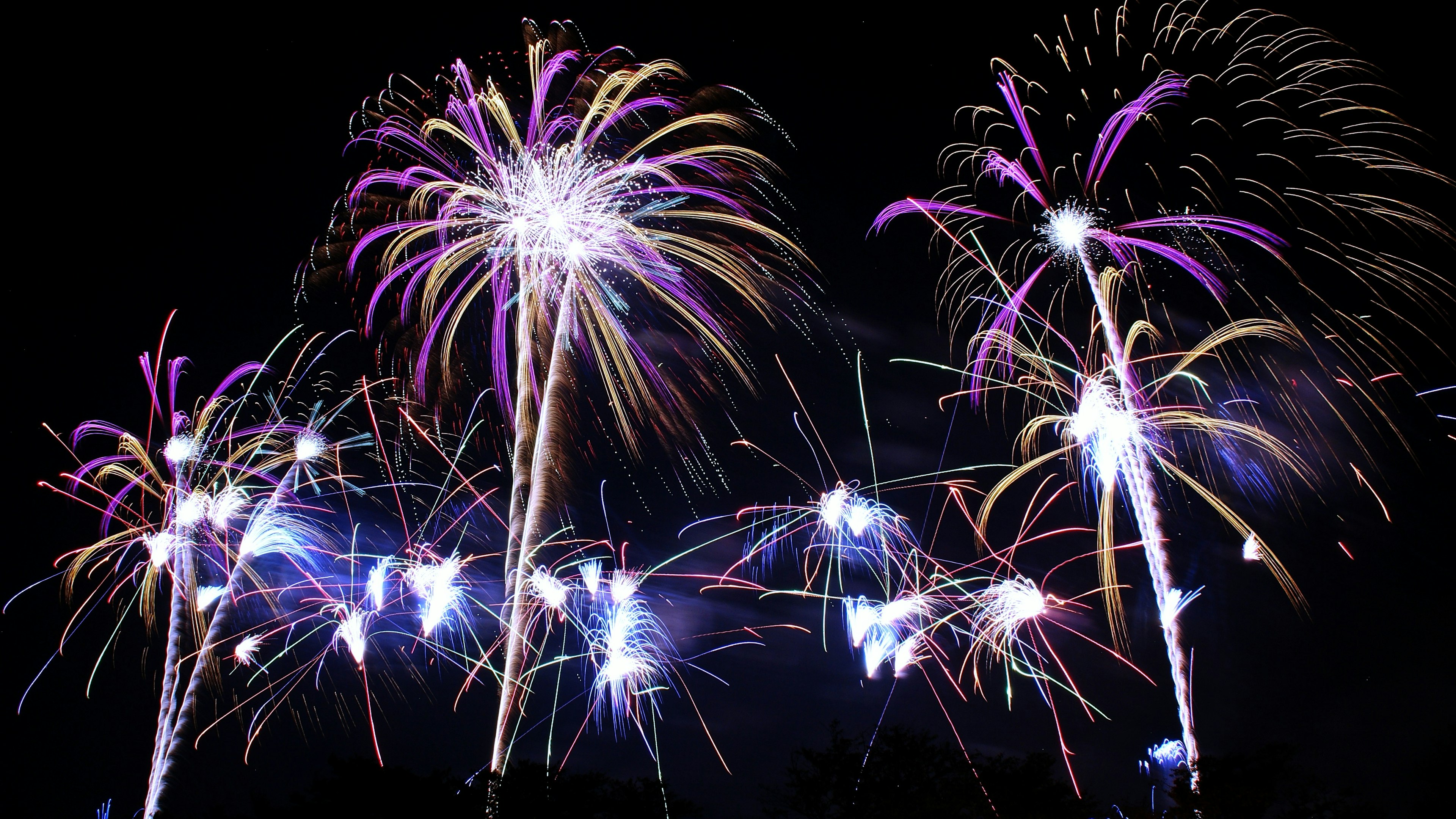 Fuegos artificiales coloridos explotando en el cielo nocturno