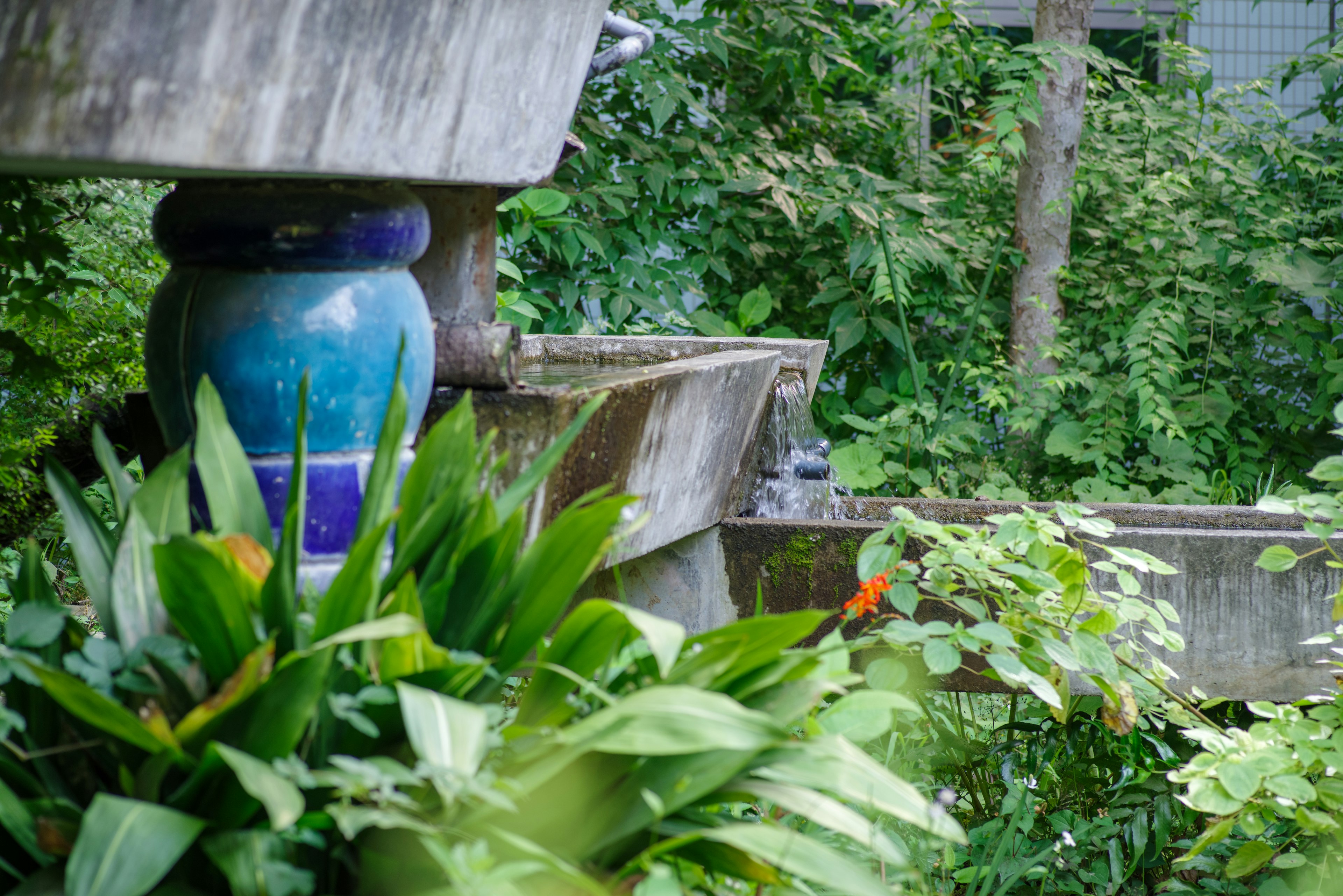 Water feature in a lush garden with colorful ceramic jar