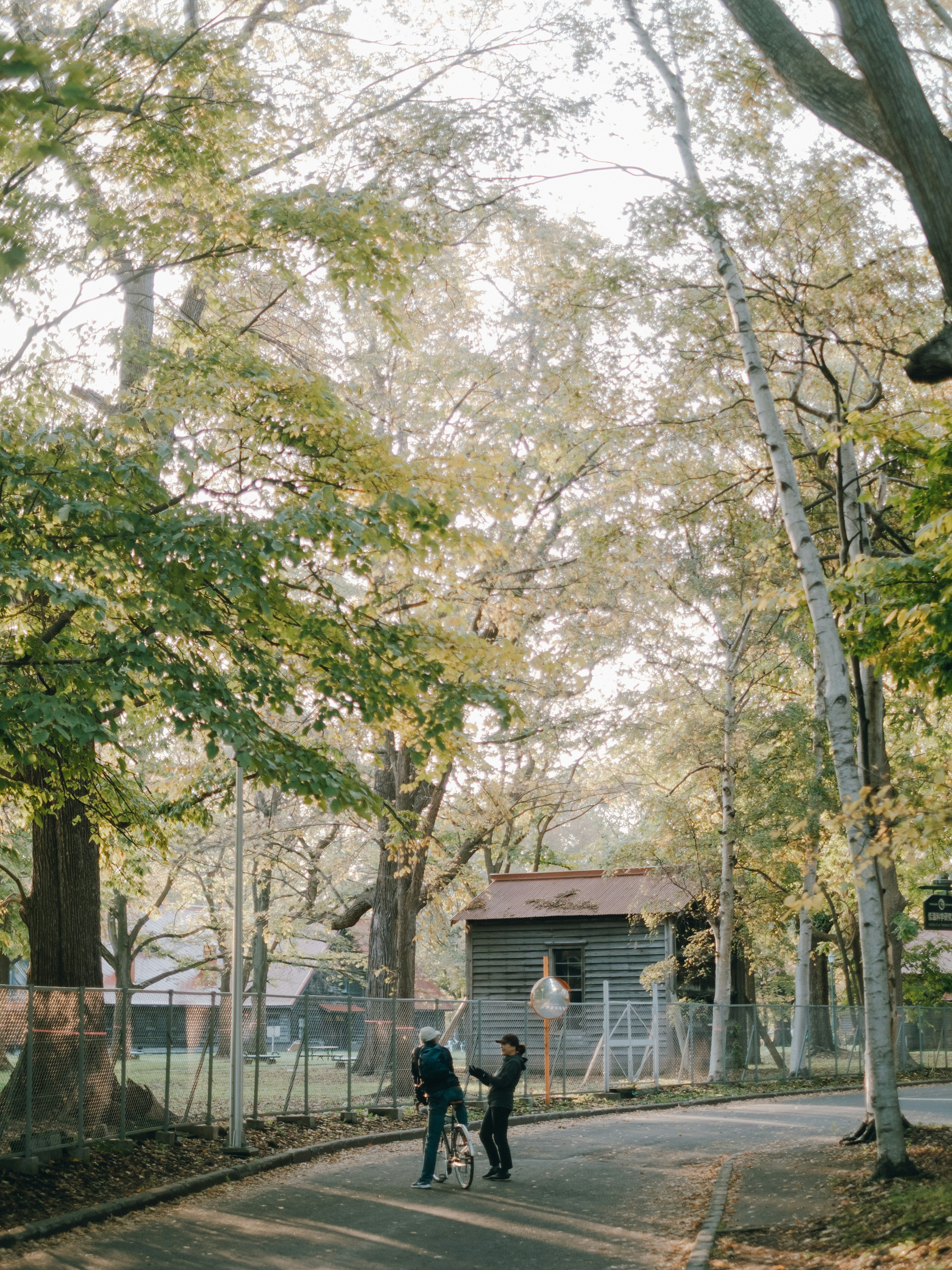 Two people walking with a bicycle on a tree-lined path