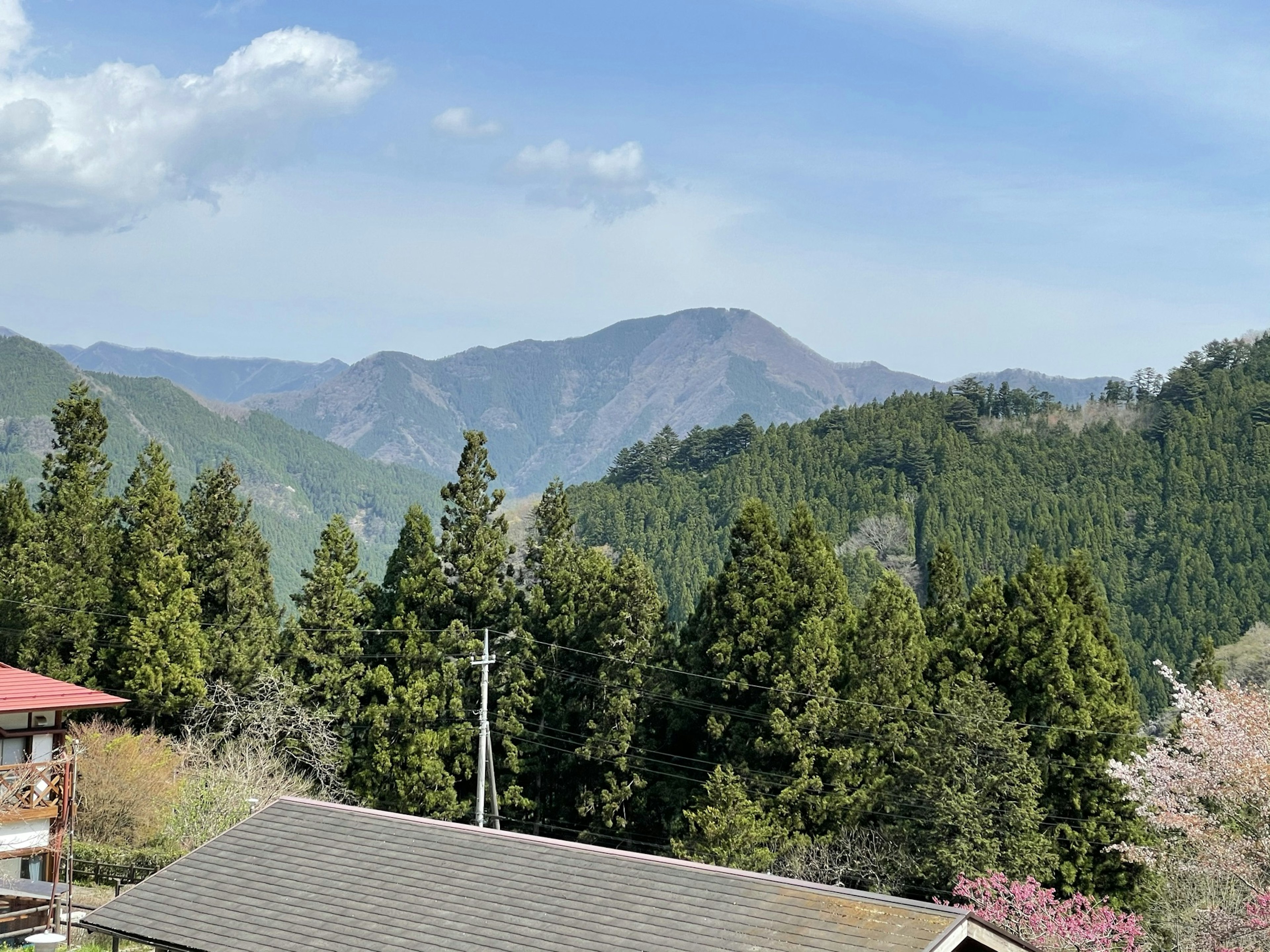 Scenic view of mountains and lush trees