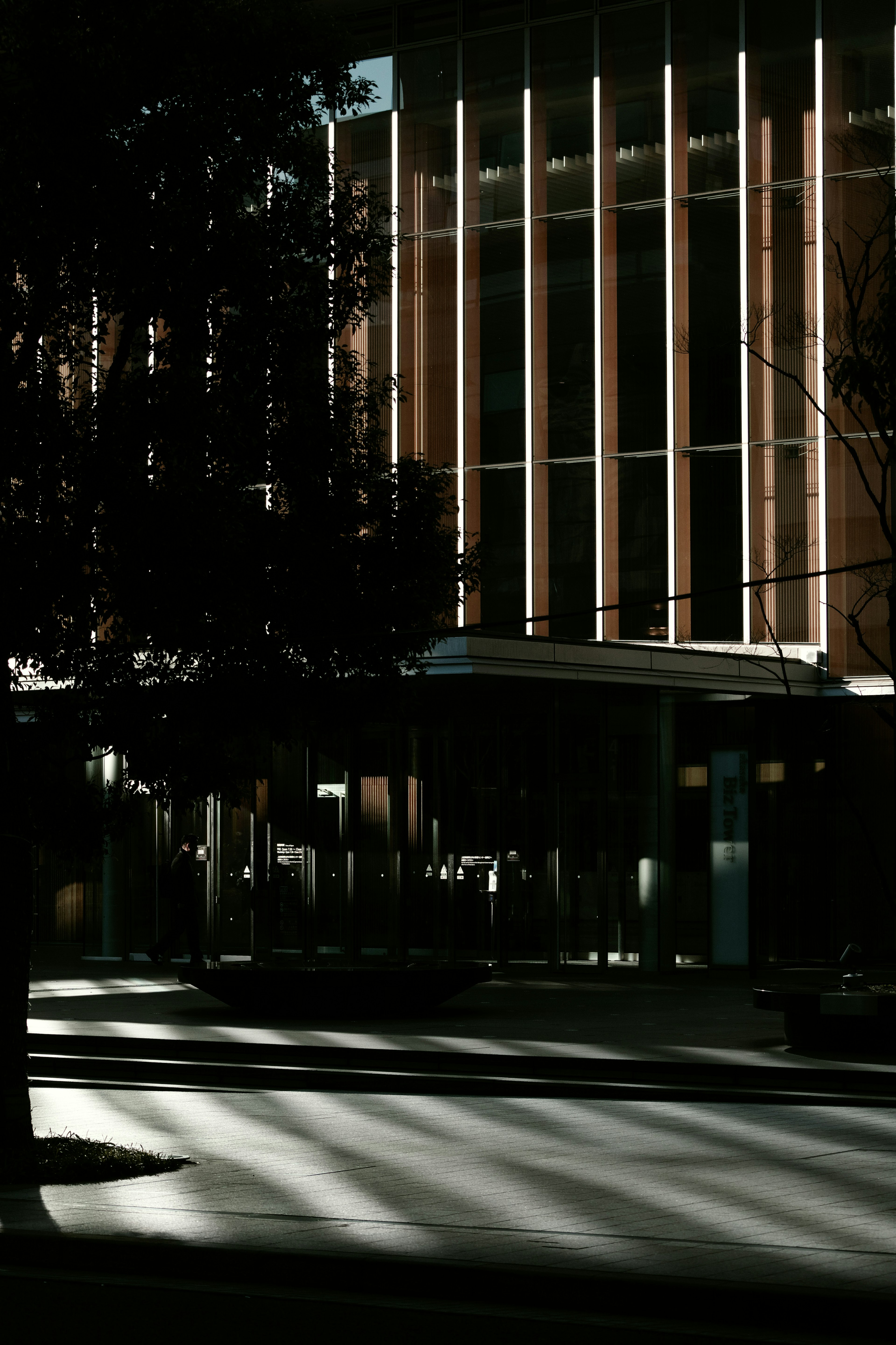 Fachada de un edificio moderno con sombras entrelazadas de árboles