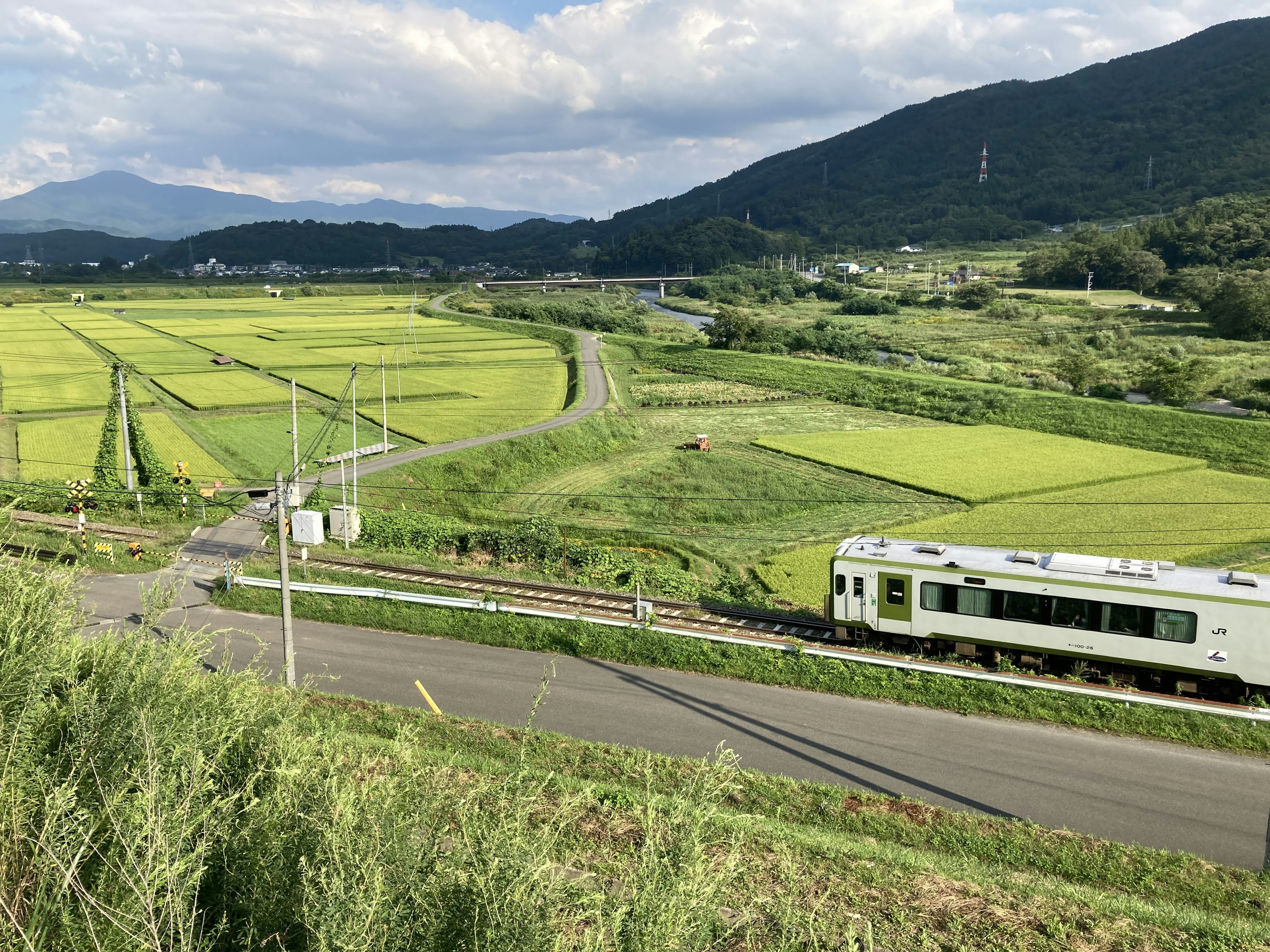 Treno che attraversa campi di riso verdi