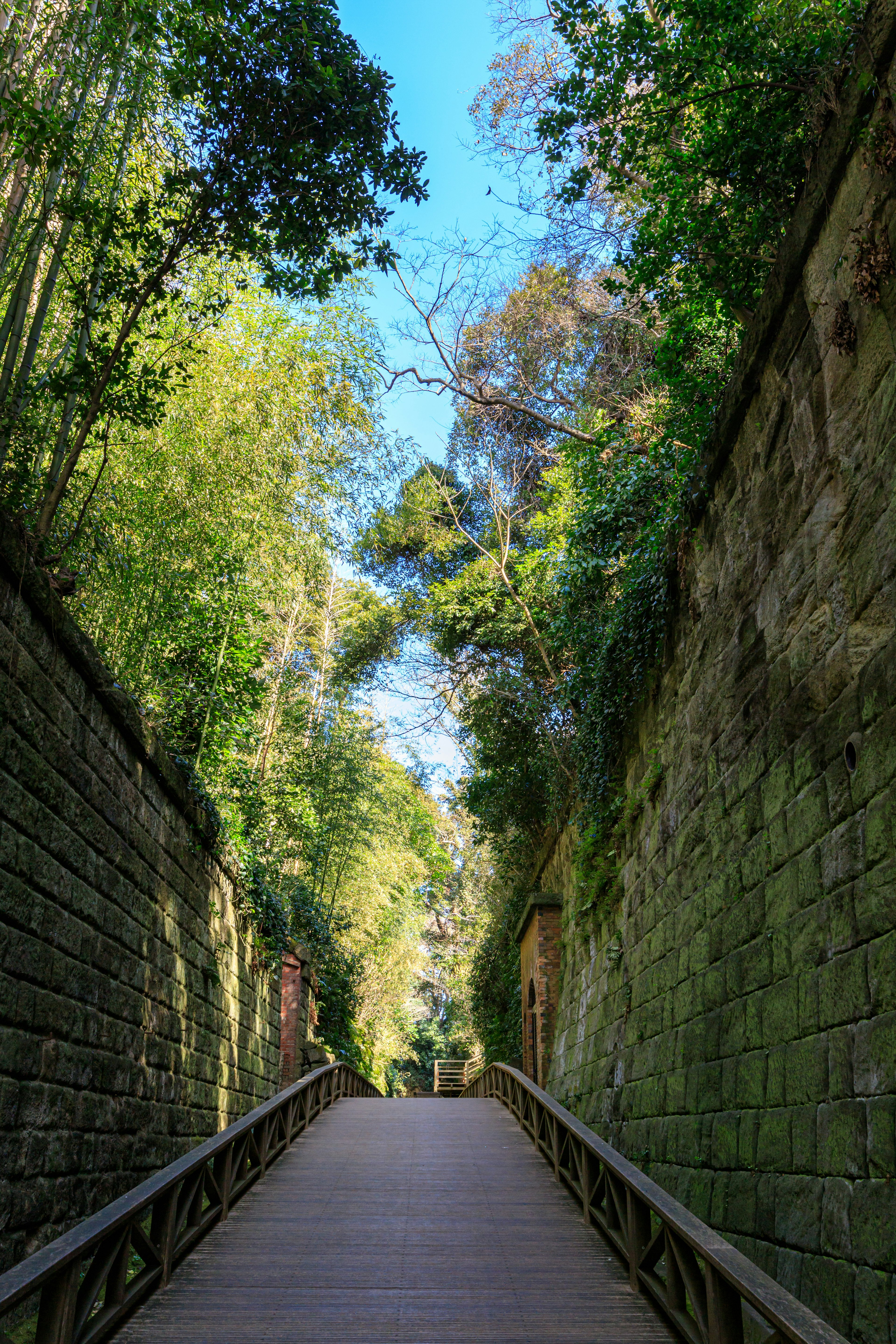 Chemin en bois encadré par des murs en pierre et de la verdure