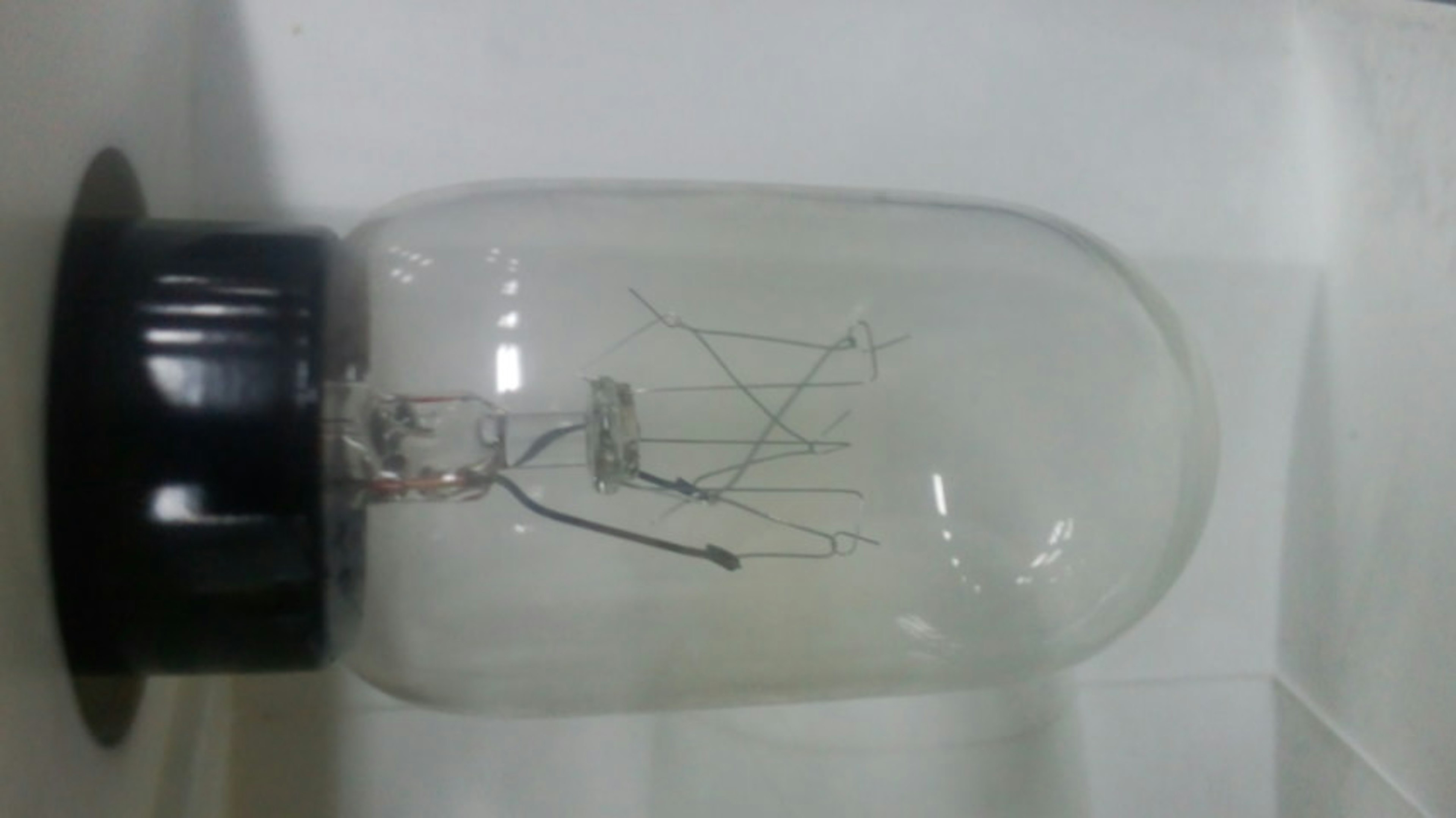 A glass dome containing the visible filament of a light bulb