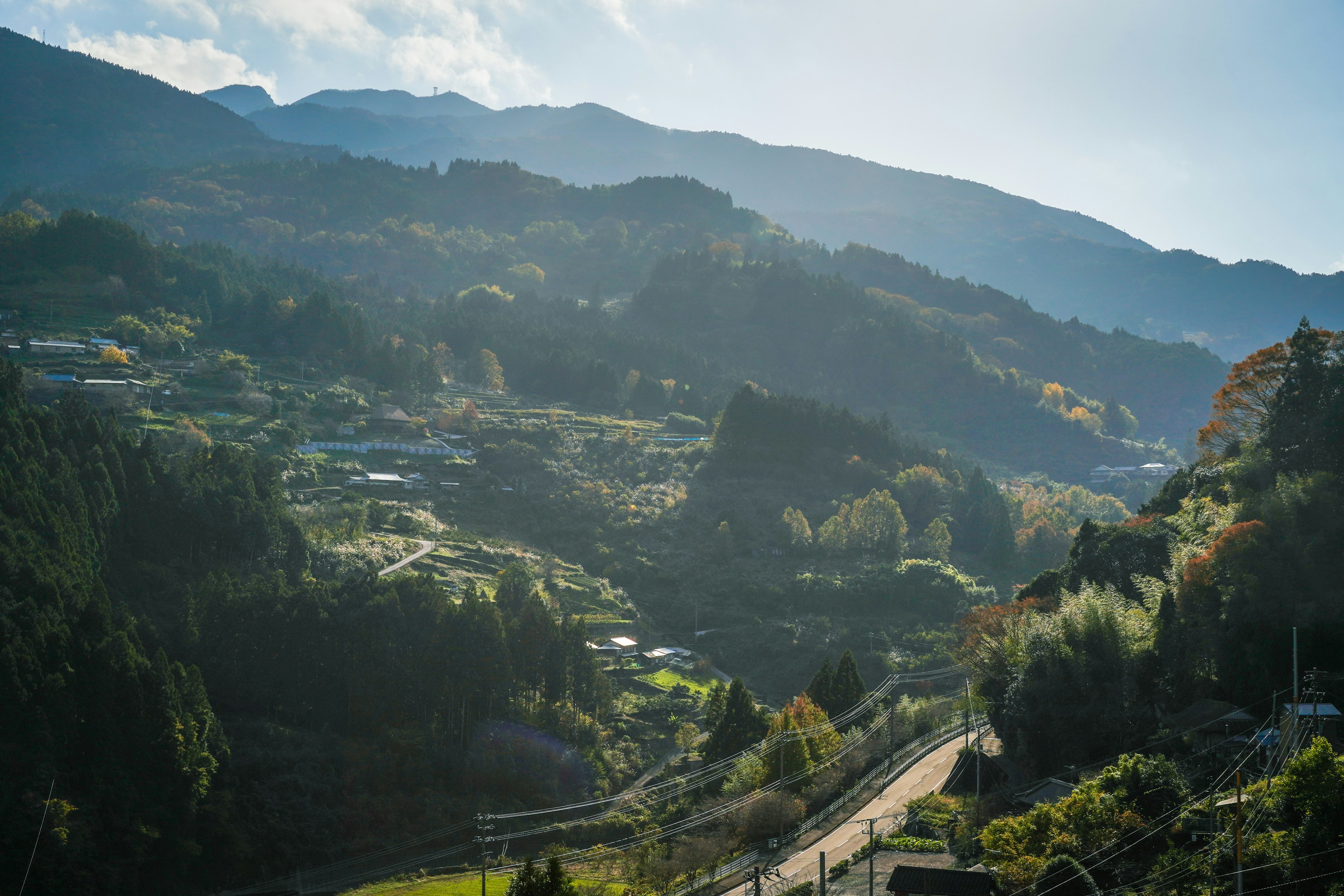 緑豊かな山々と谷間の風景 霧のかかった山のシルエットと穏やかな道