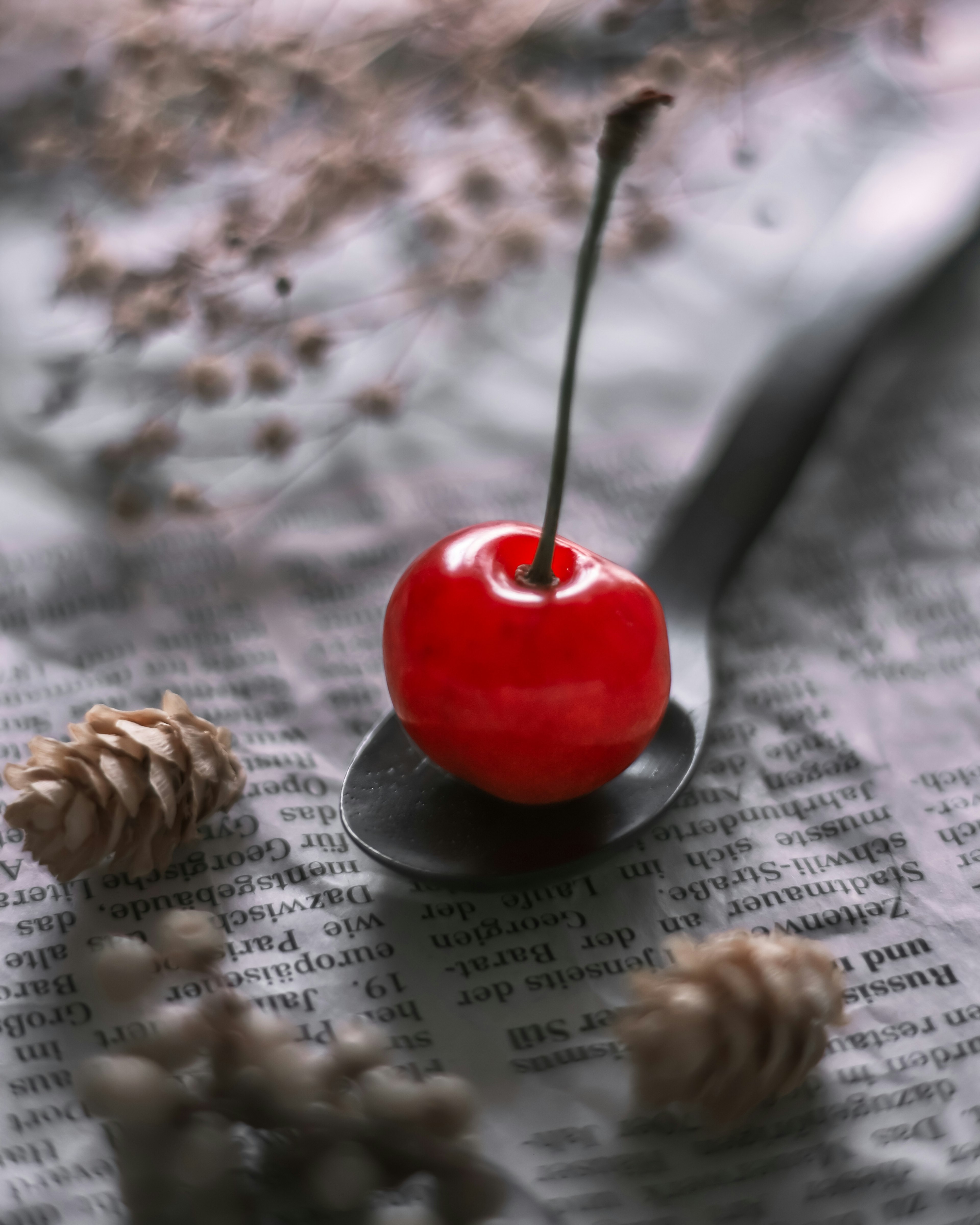 Une cerise rouge brillante reposant sur une cuillère entourée de pommes de pin