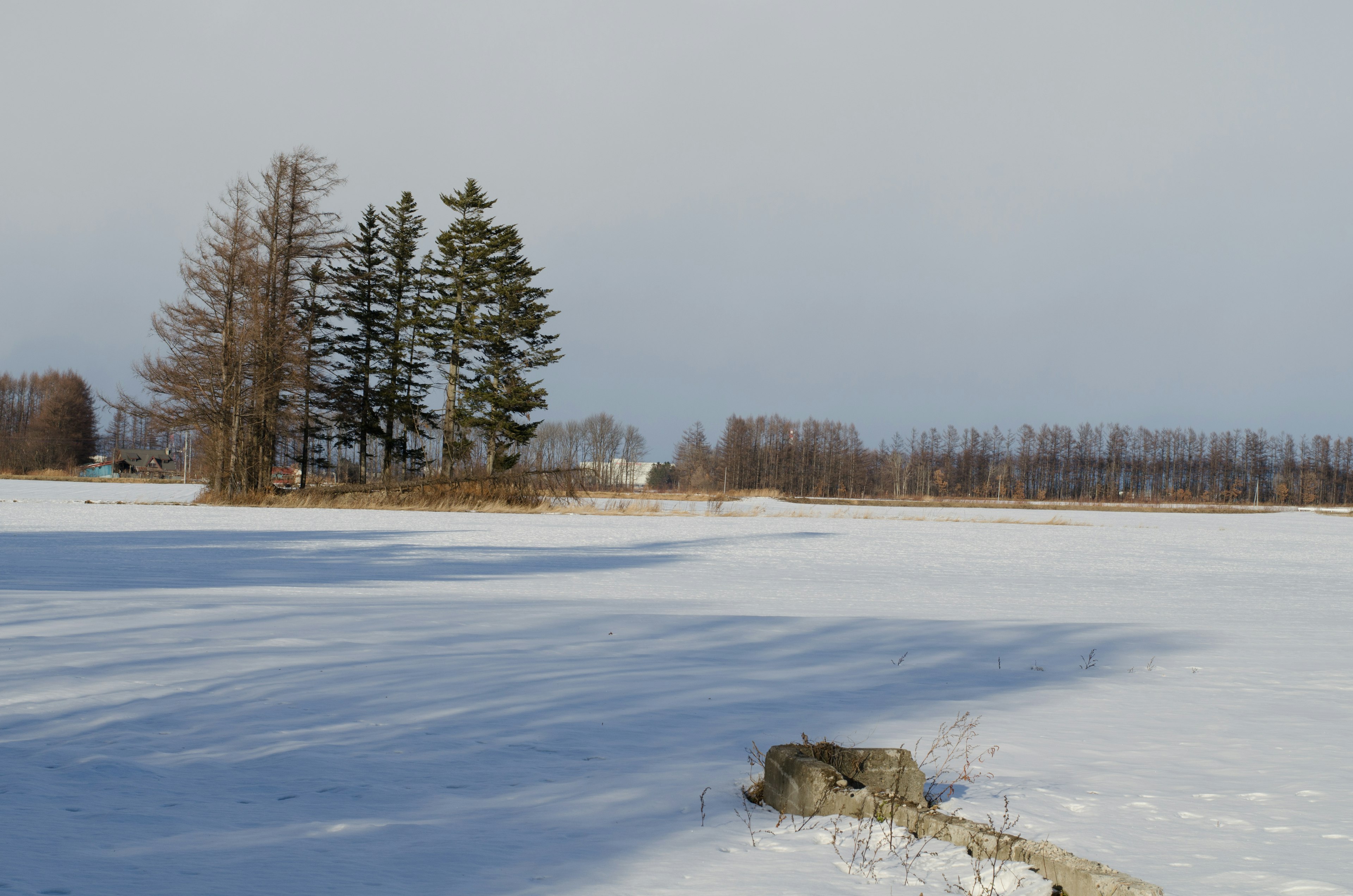 Winterlandschaft mit einem gefrorenen See und umgebenden Bäumen