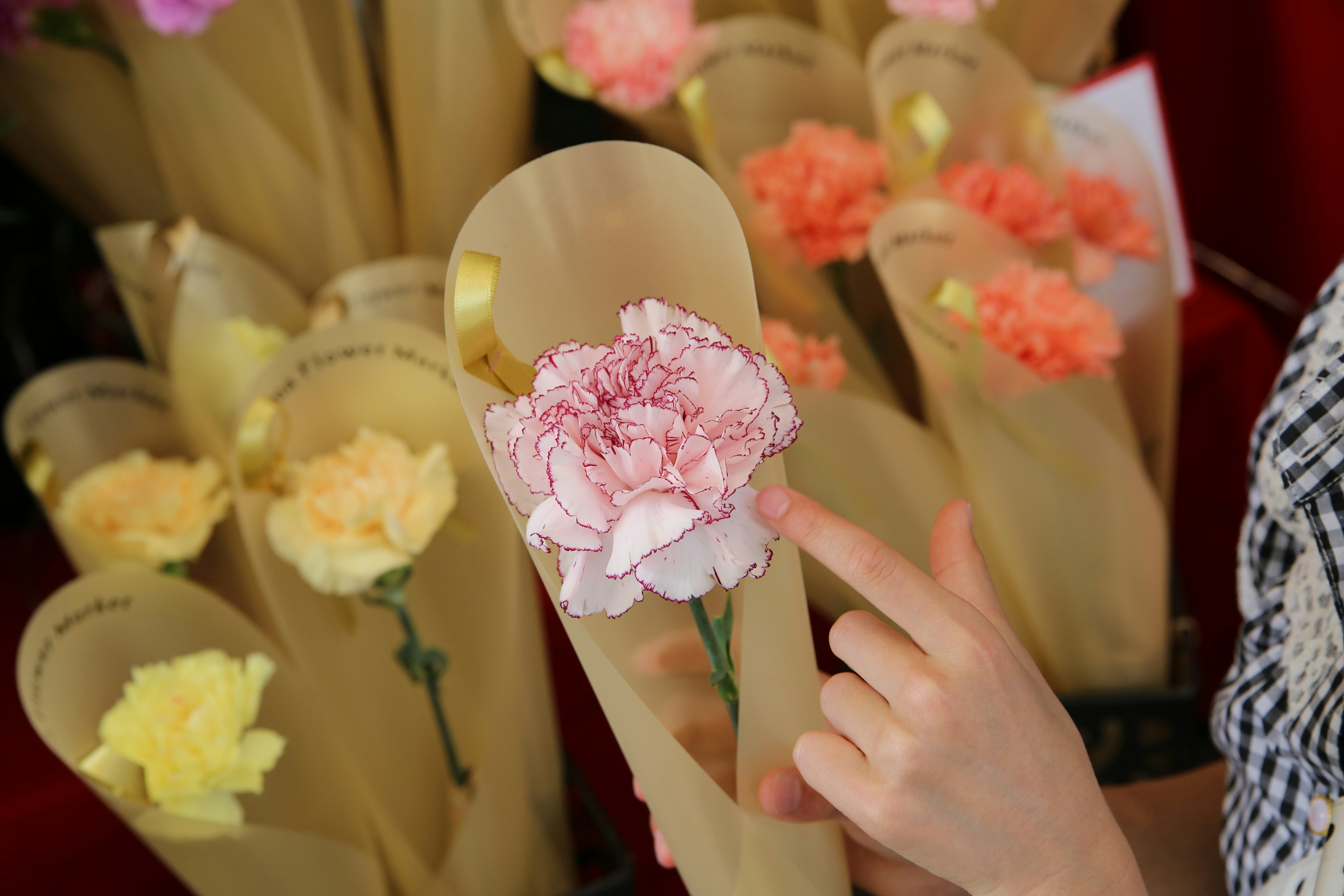 A hand pointing at a pink carnation among colorful flower bouquets