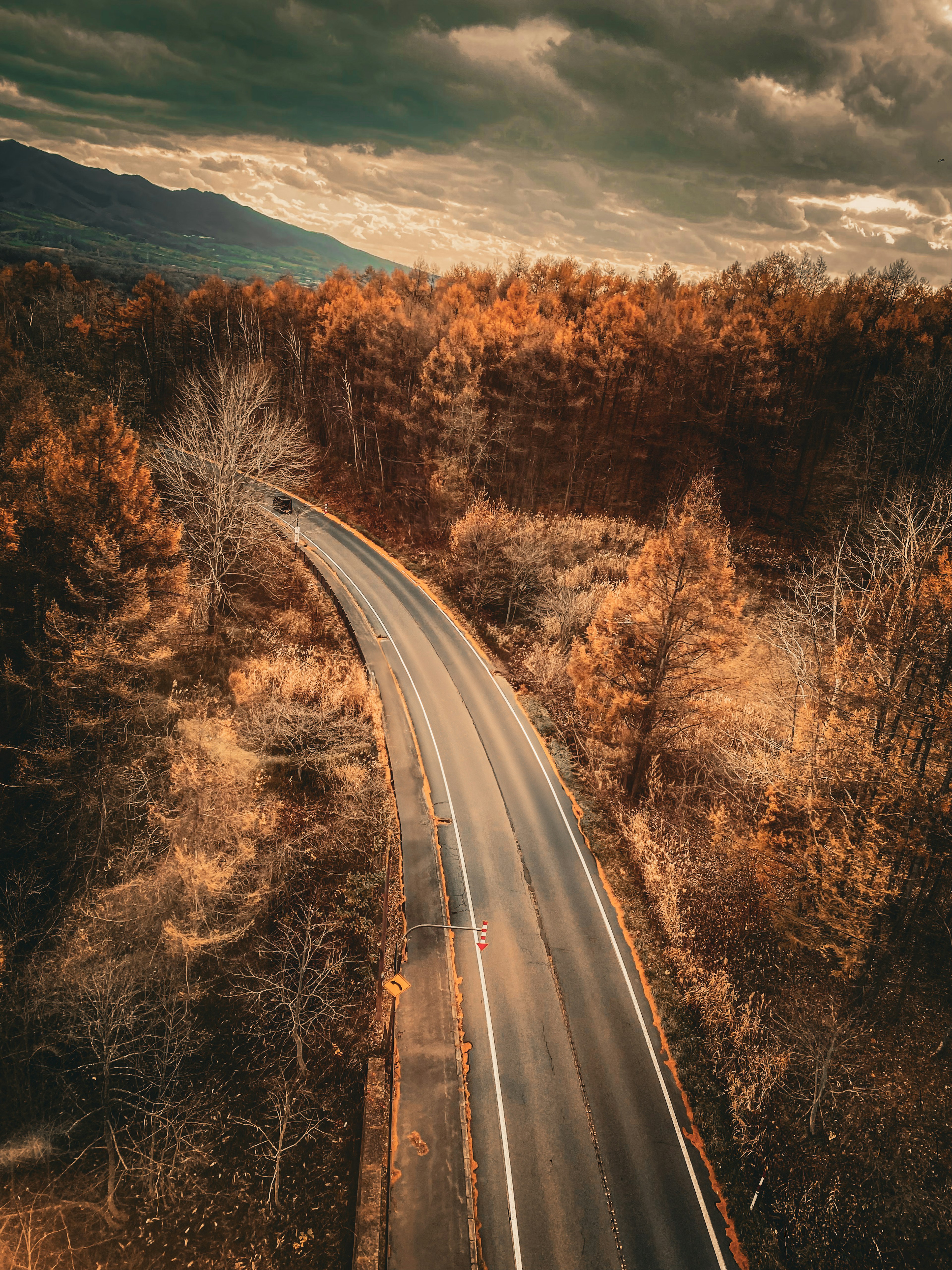 Route sinueuse entourée d'une forêt aux couleurs d'automne