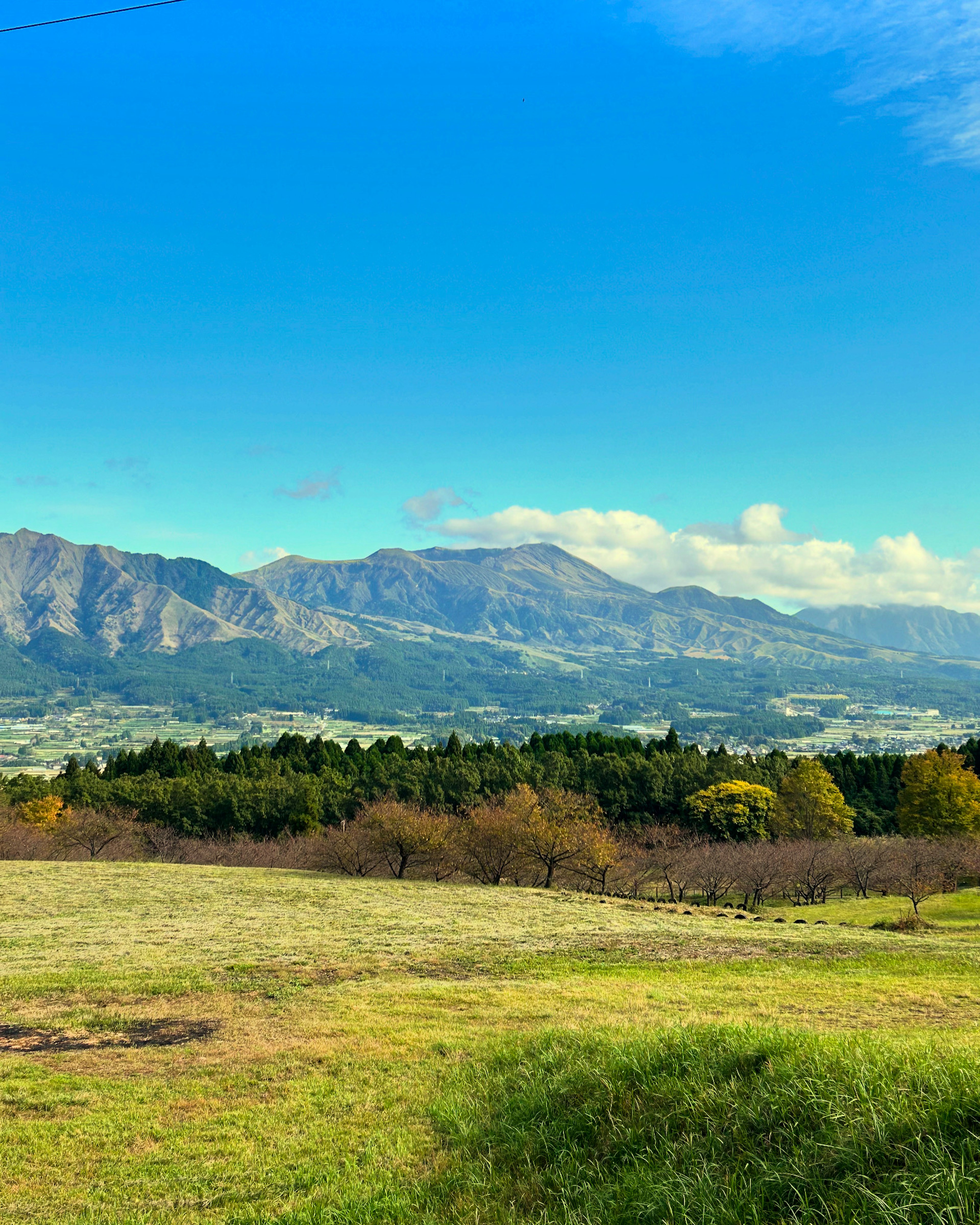 Green meadow with mountains under a clear blue sky