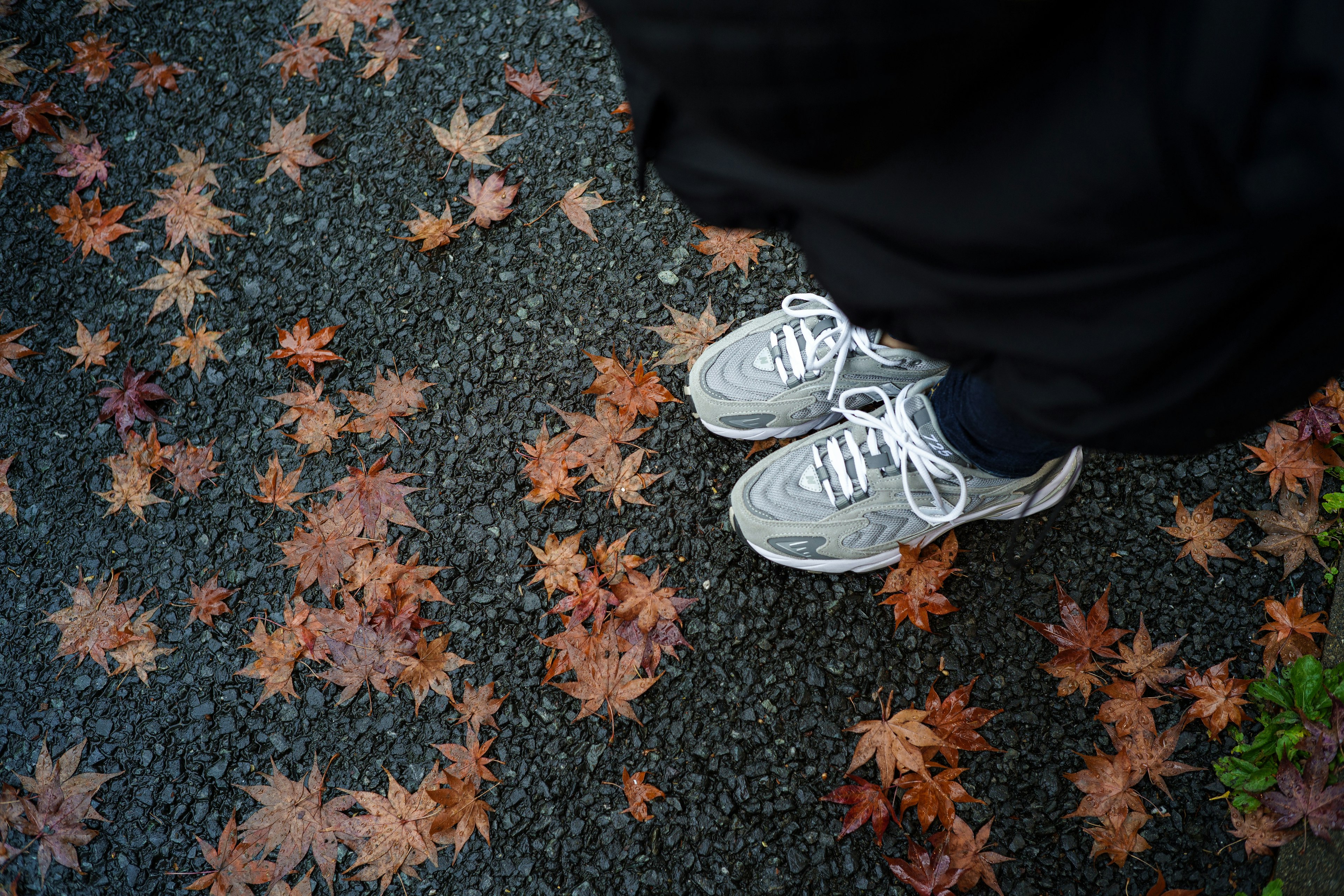 Sneakers standing on fallen leaves with black clothing