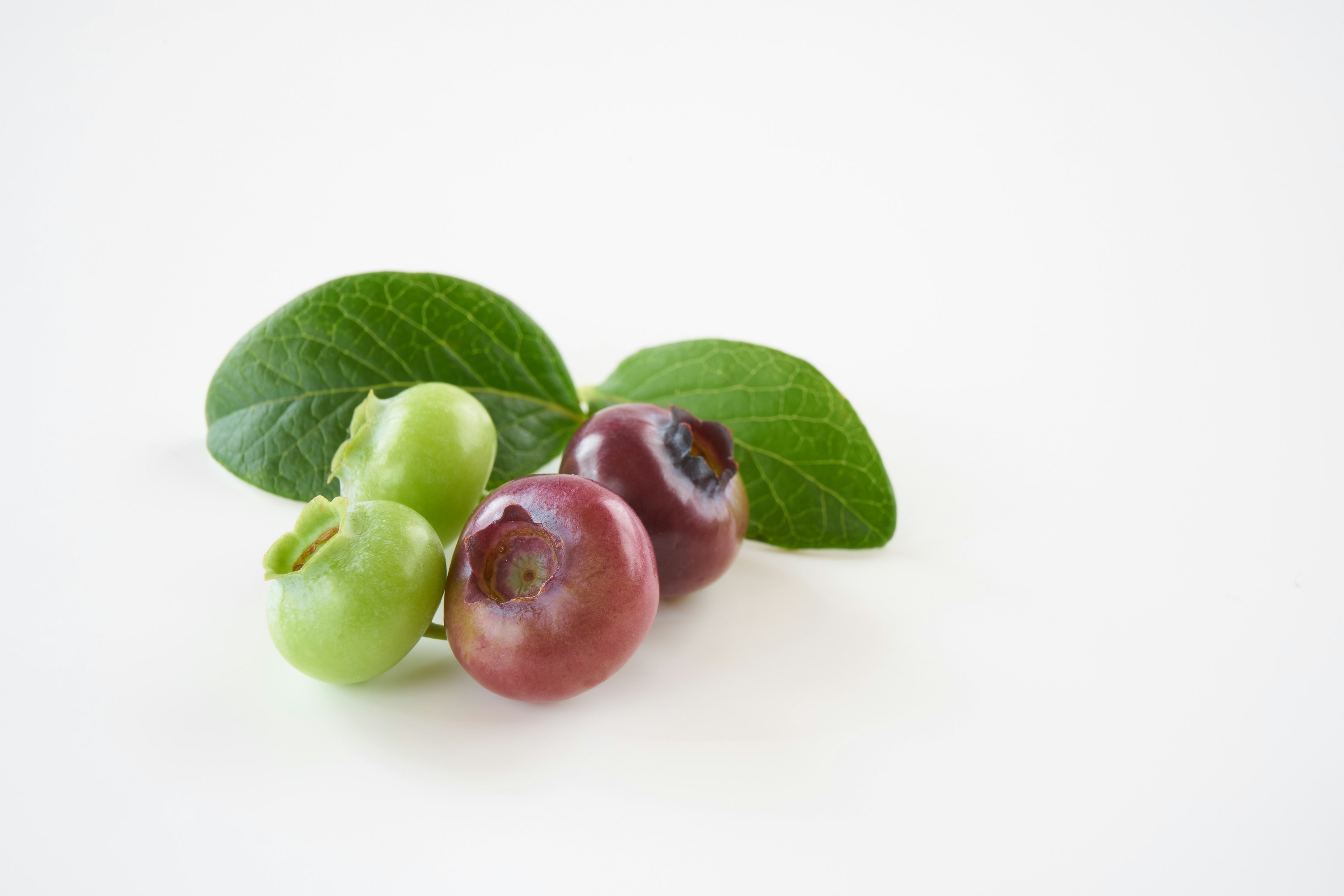 Une composition simple de fruits verts et rouges avec des feuilles