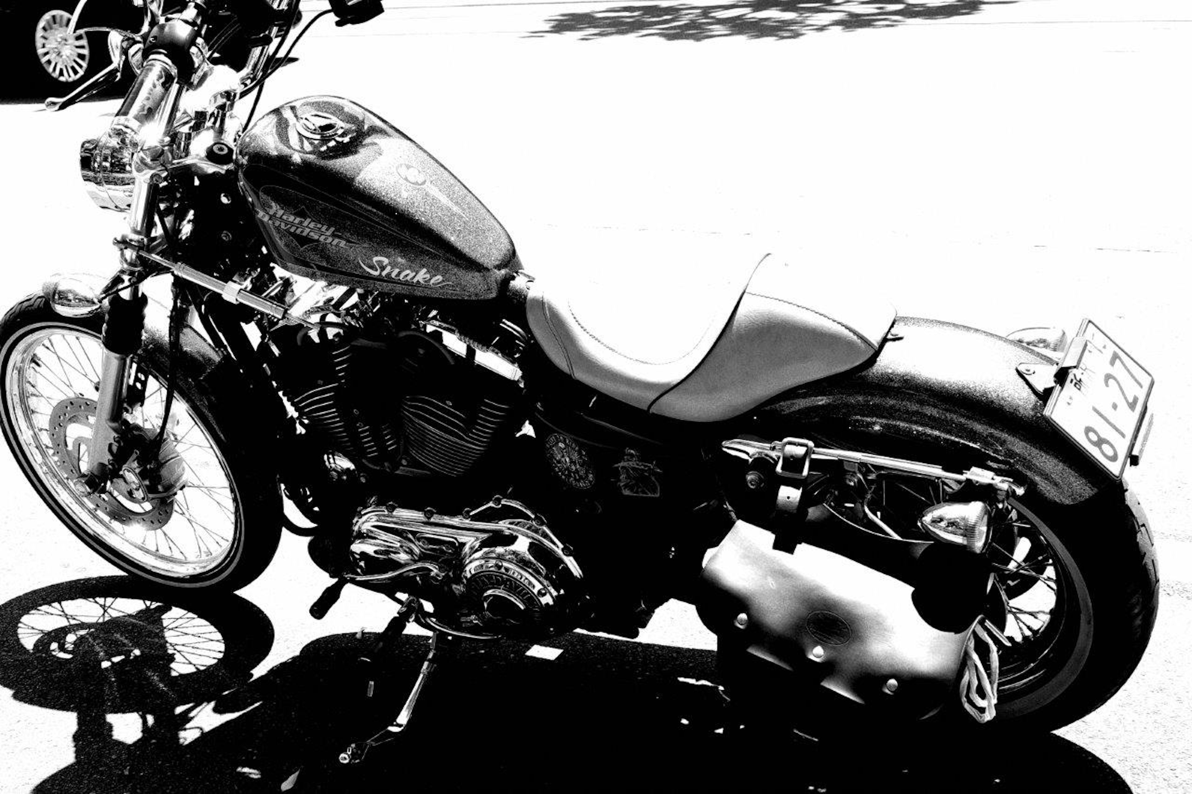 Moto Harley-Davidson noir et blanc garée