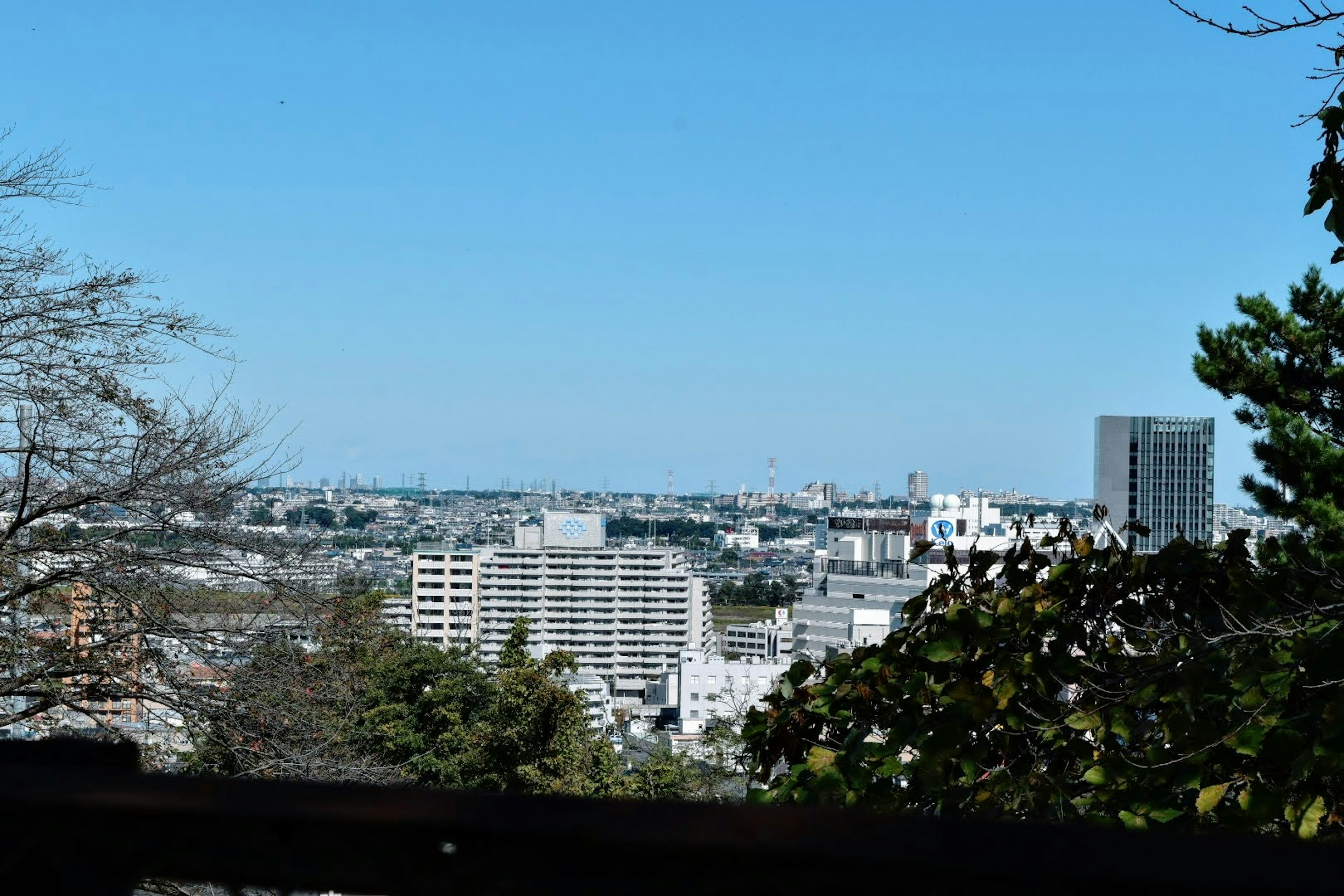 在晴朗蓝天下的城市全景，前景有绿色植物