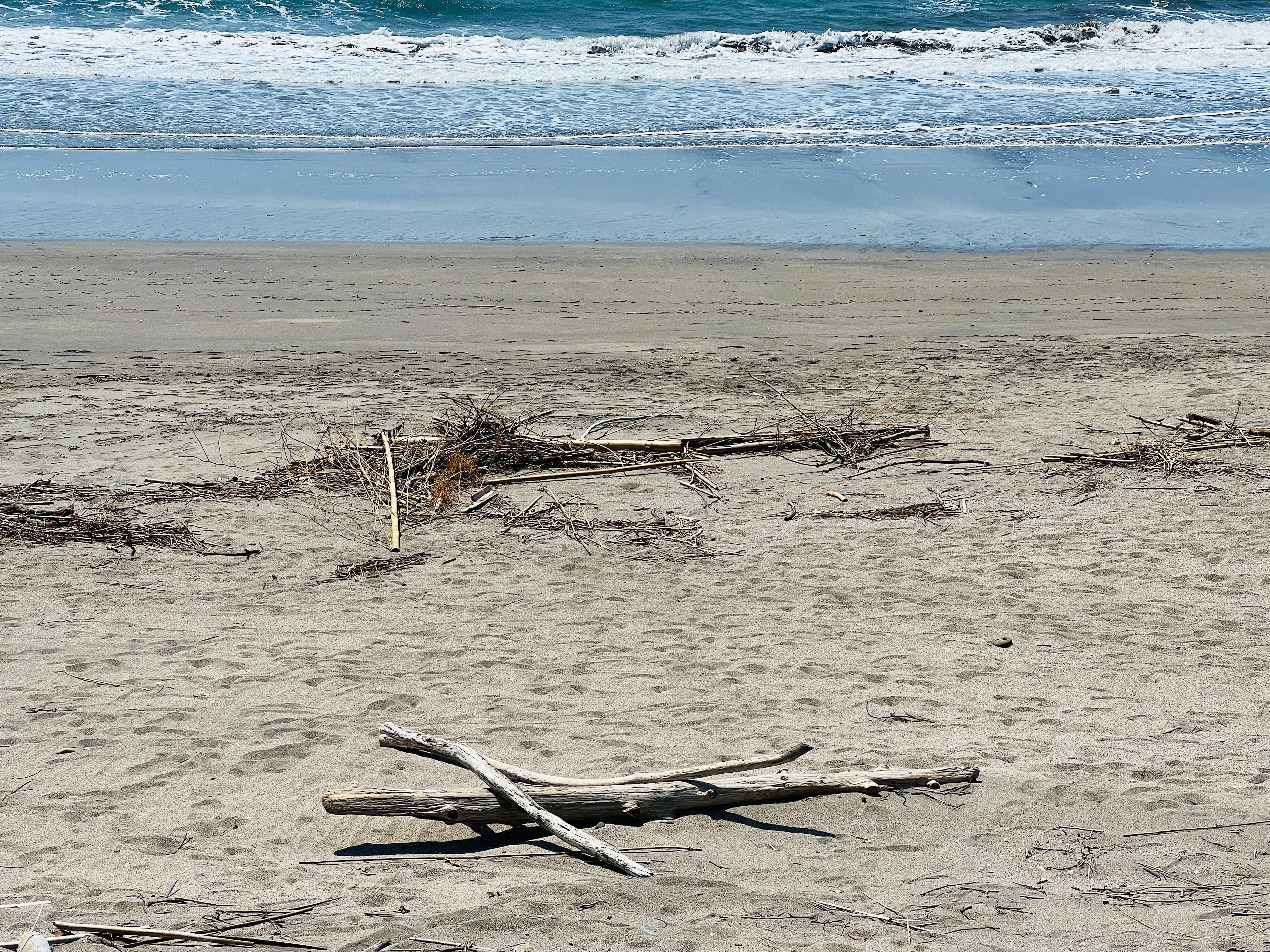 Una escena de playa con madera a la deriva esparcida en la arena y olas del océano al fondo