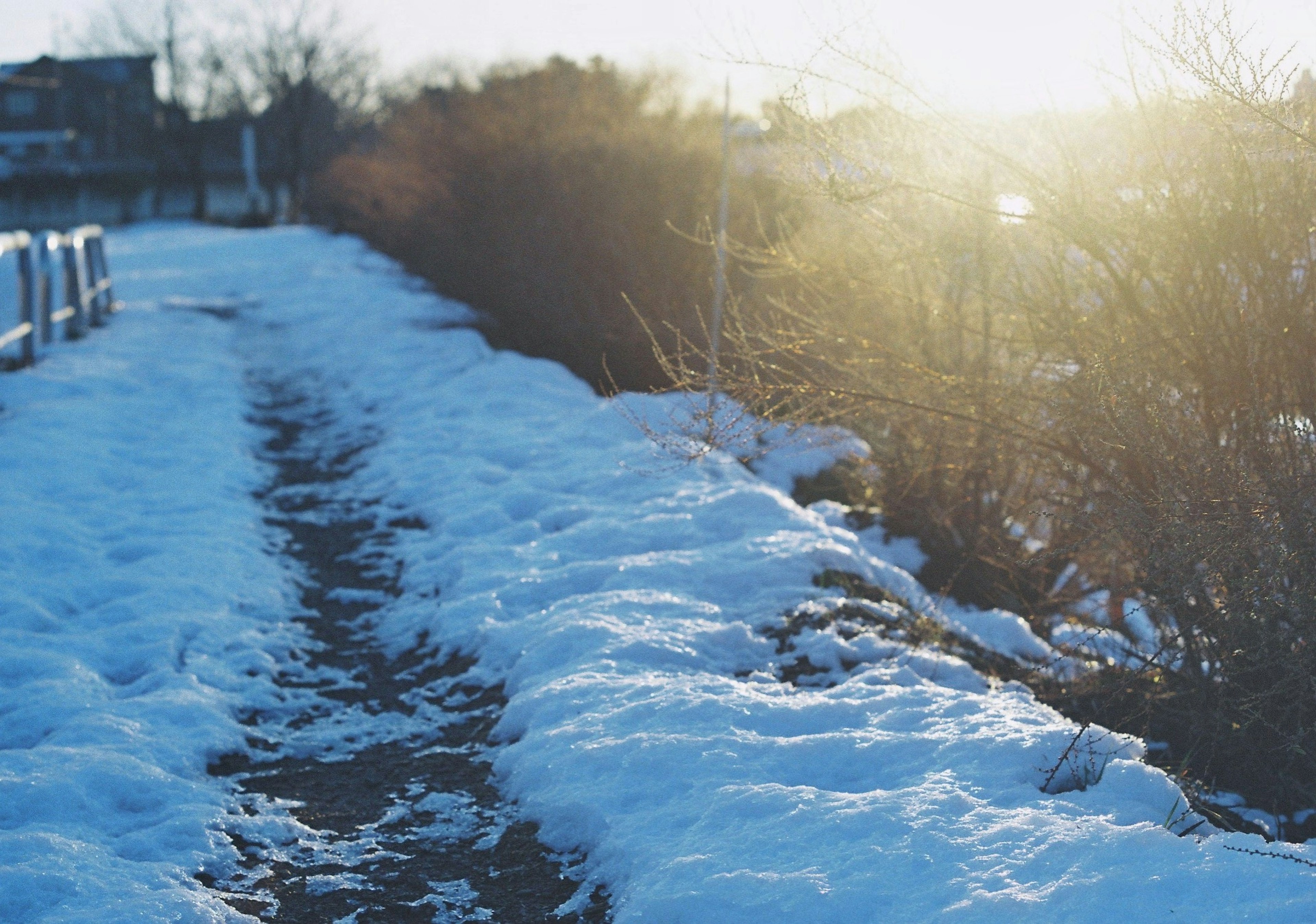 雪に覆われた小道と日差しのある風景