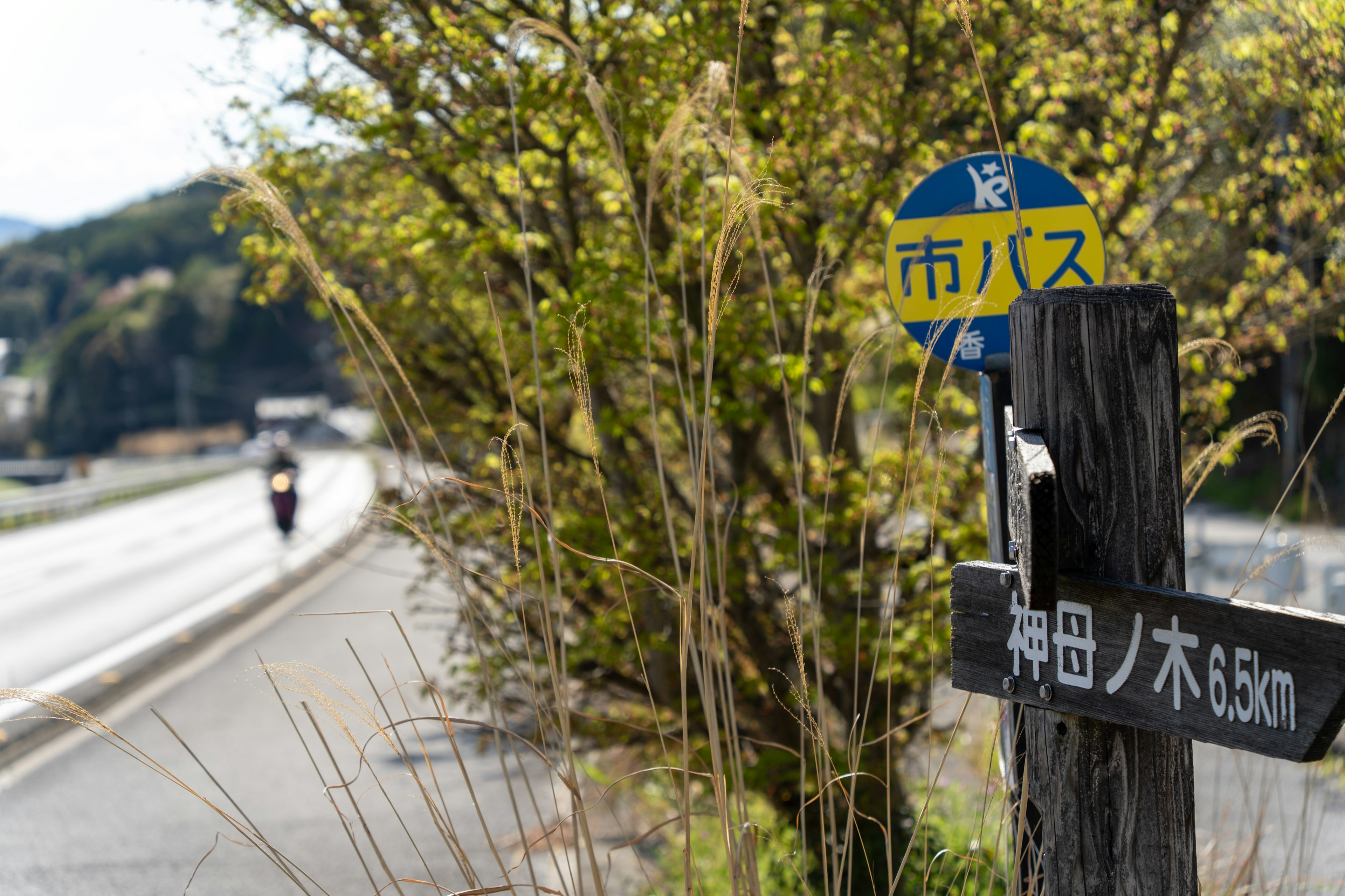 Bus stop sign with surrounding nature and road