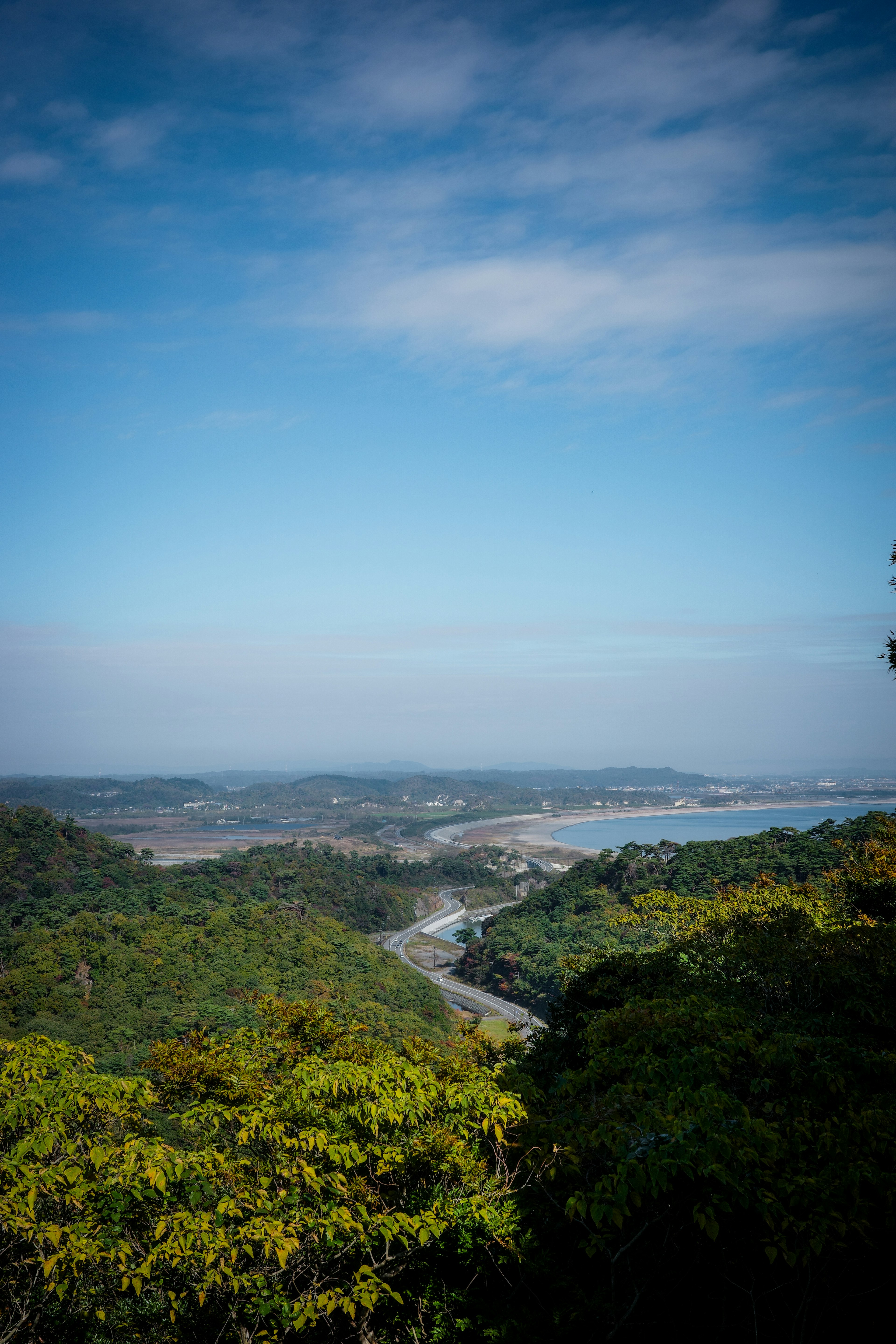 青い空と緑の木々が広がる風景、川と海が見える