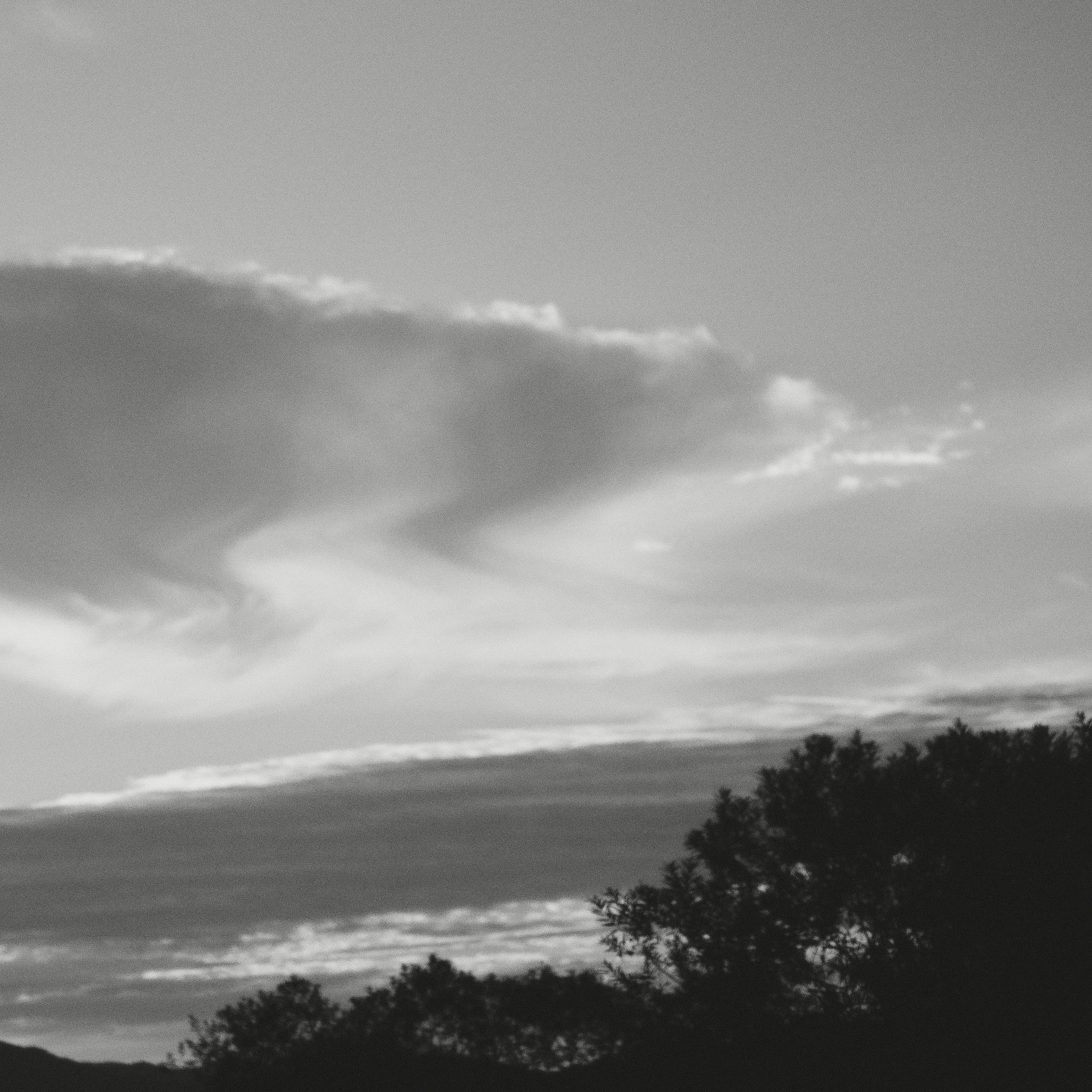 Paysage en noir et blanc avec des nuages et des silhouettes d'arbres