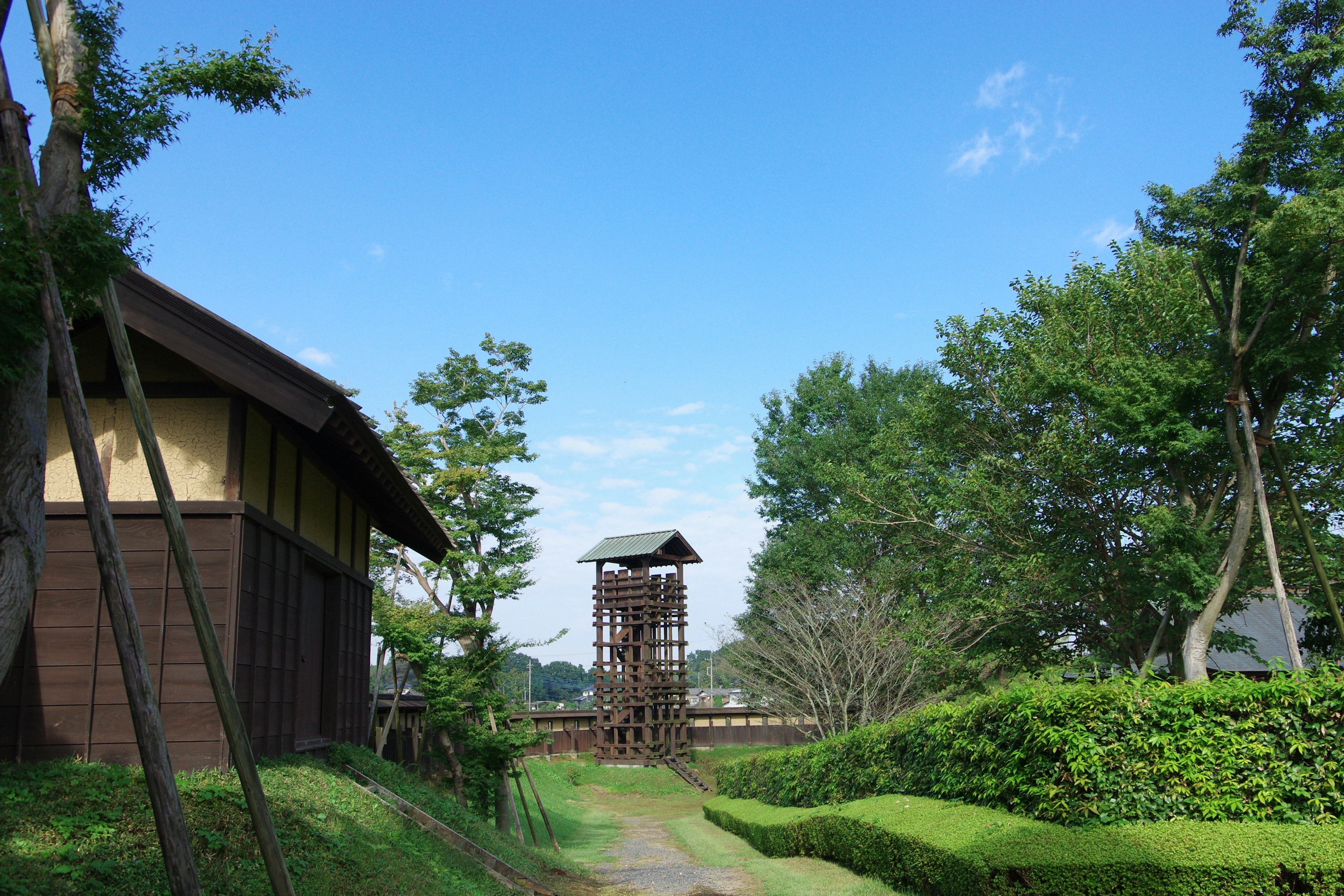 Scenic pathway in a lush park with wooden buildings